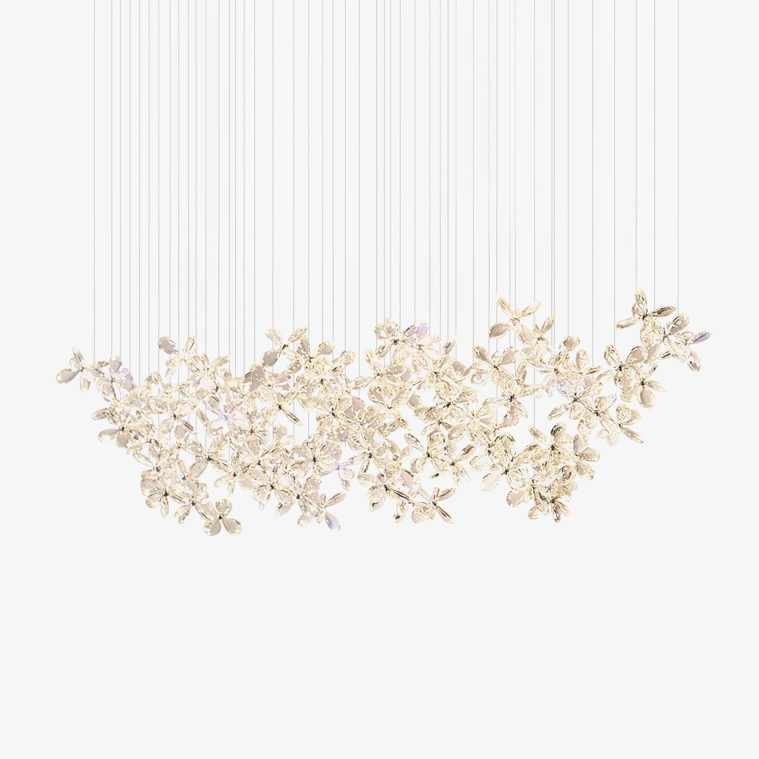 Floating Butterfly Chandelier - Letslighting