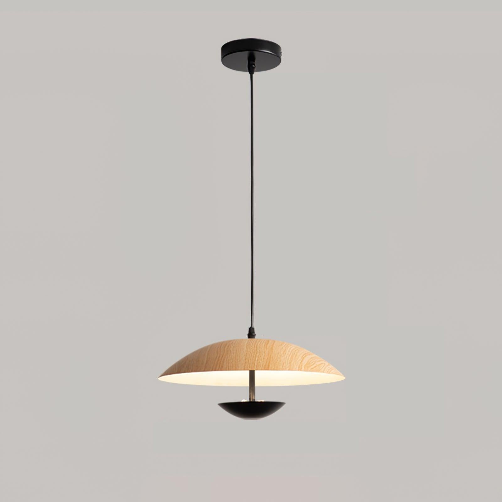 Frisbee Pendant Lamp - Letslighting