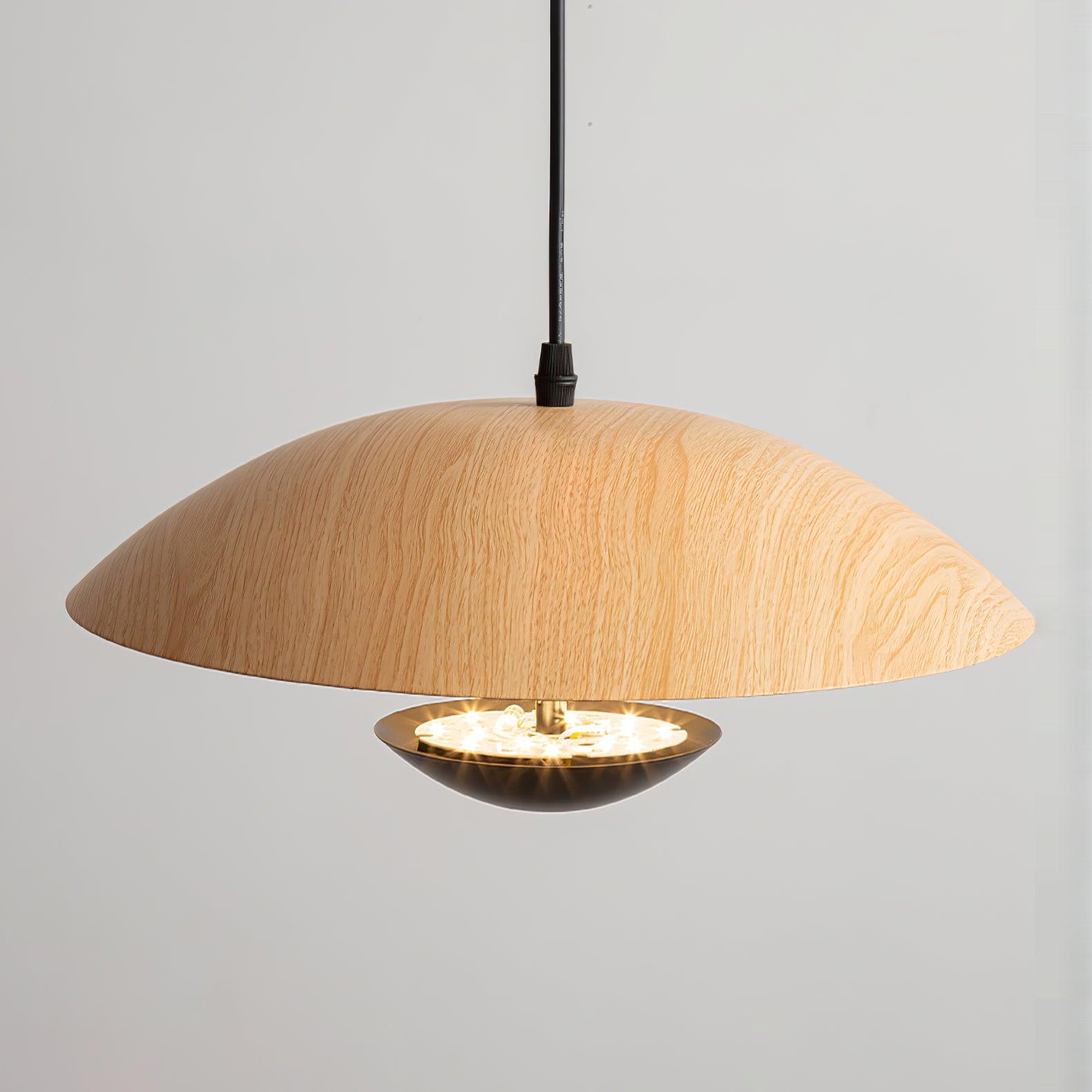 Frisbee Pendant Lamp - Letslighting
