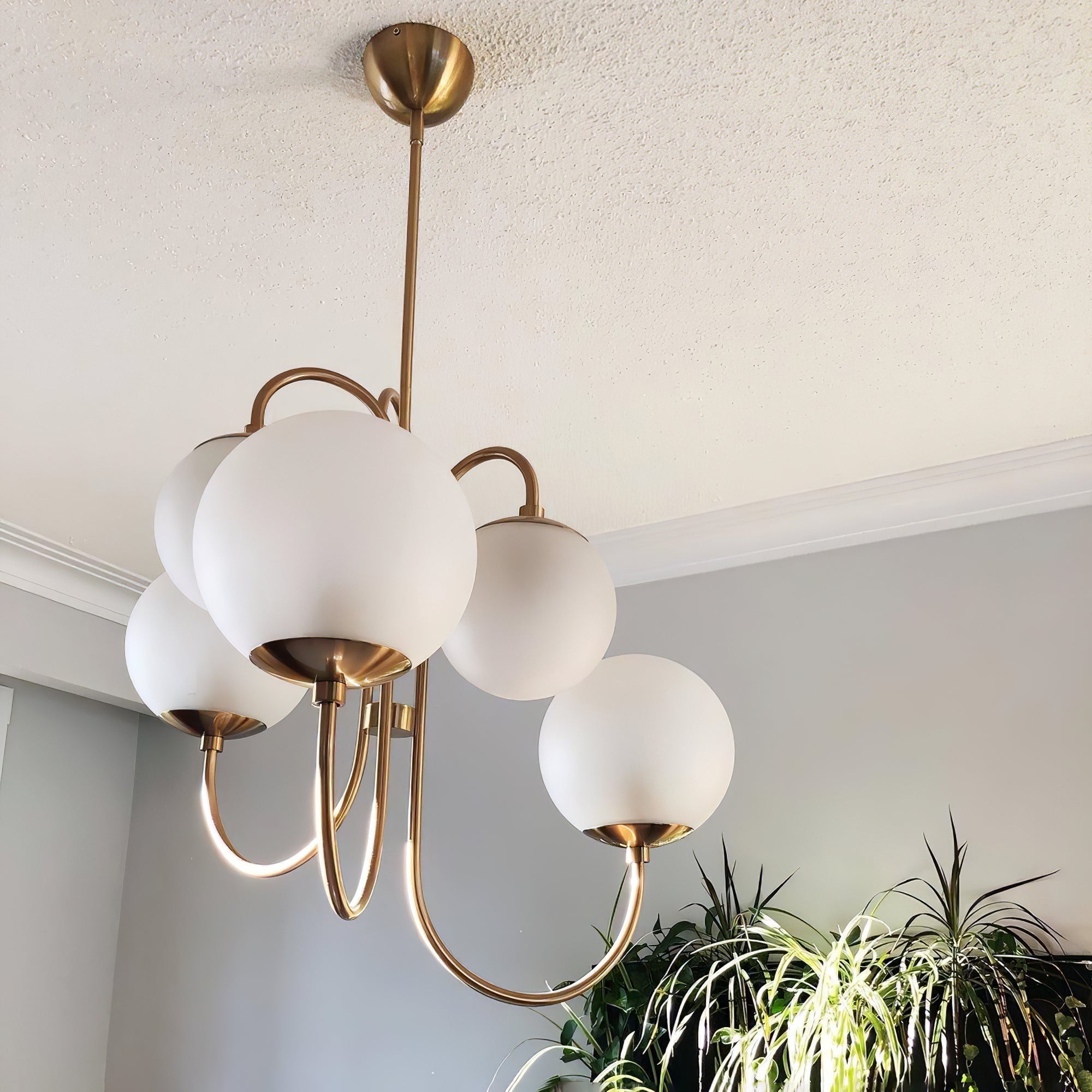 Gooseneck Chandelier - Letslighting