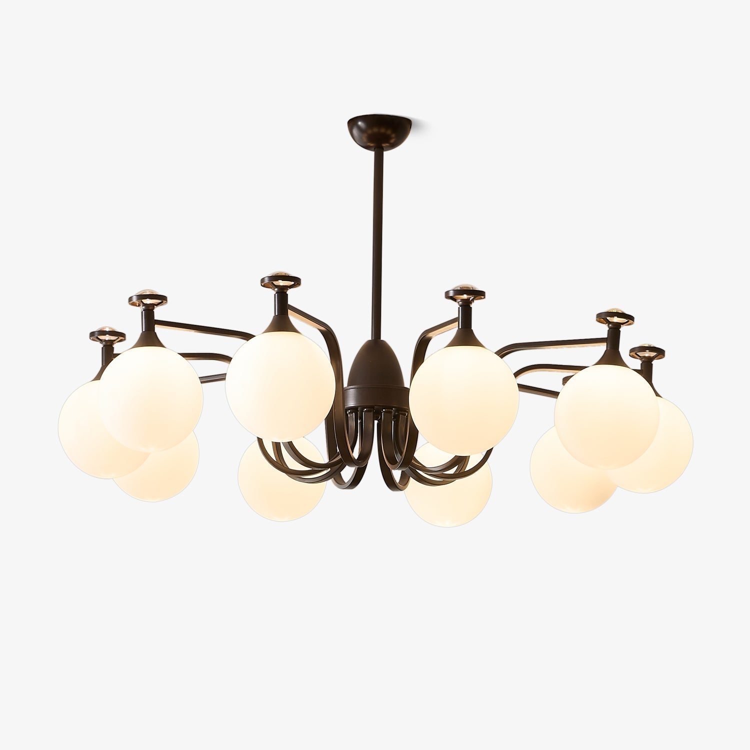 Isolde Chandelier - Letslighting