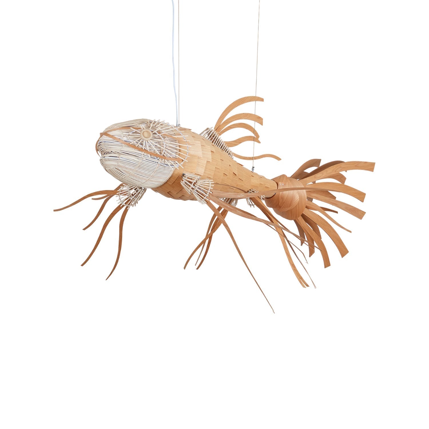 Koi Chandelier - Letslighting