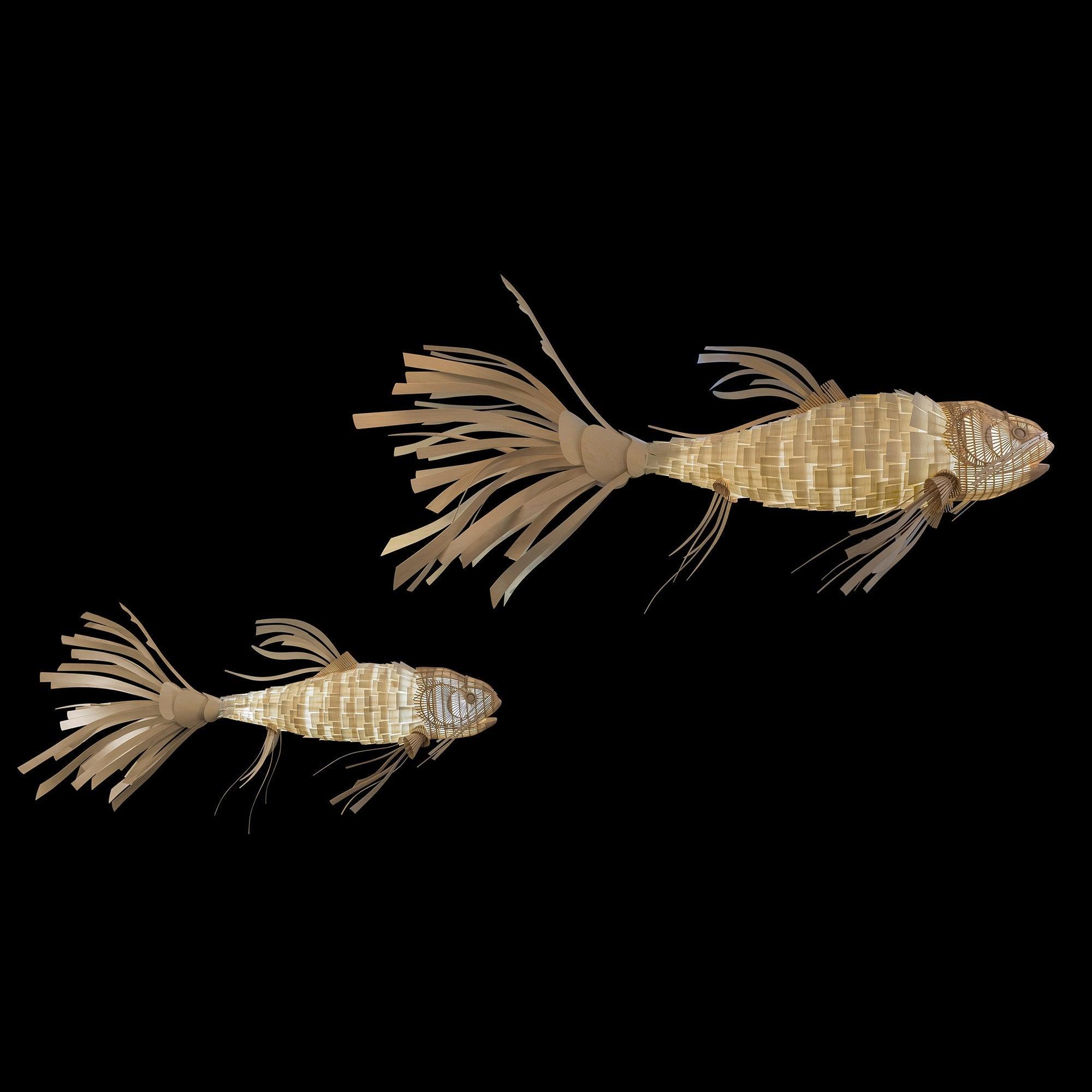 Koi Chandelier - Letslighting