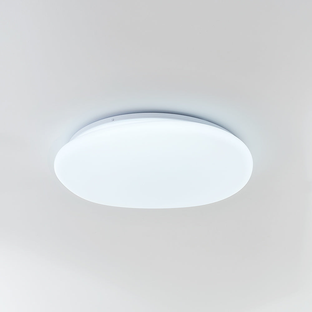 Arisha Irregular Redonda Metal/Acrílica Lámpara de Techo Blanco