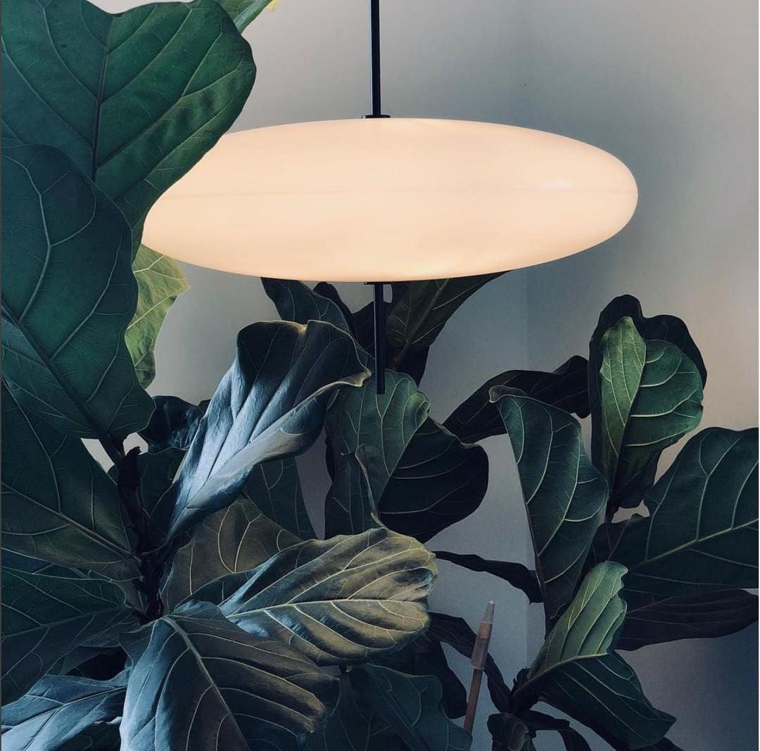 Model 2065 Pendant Lamp - Letslighting