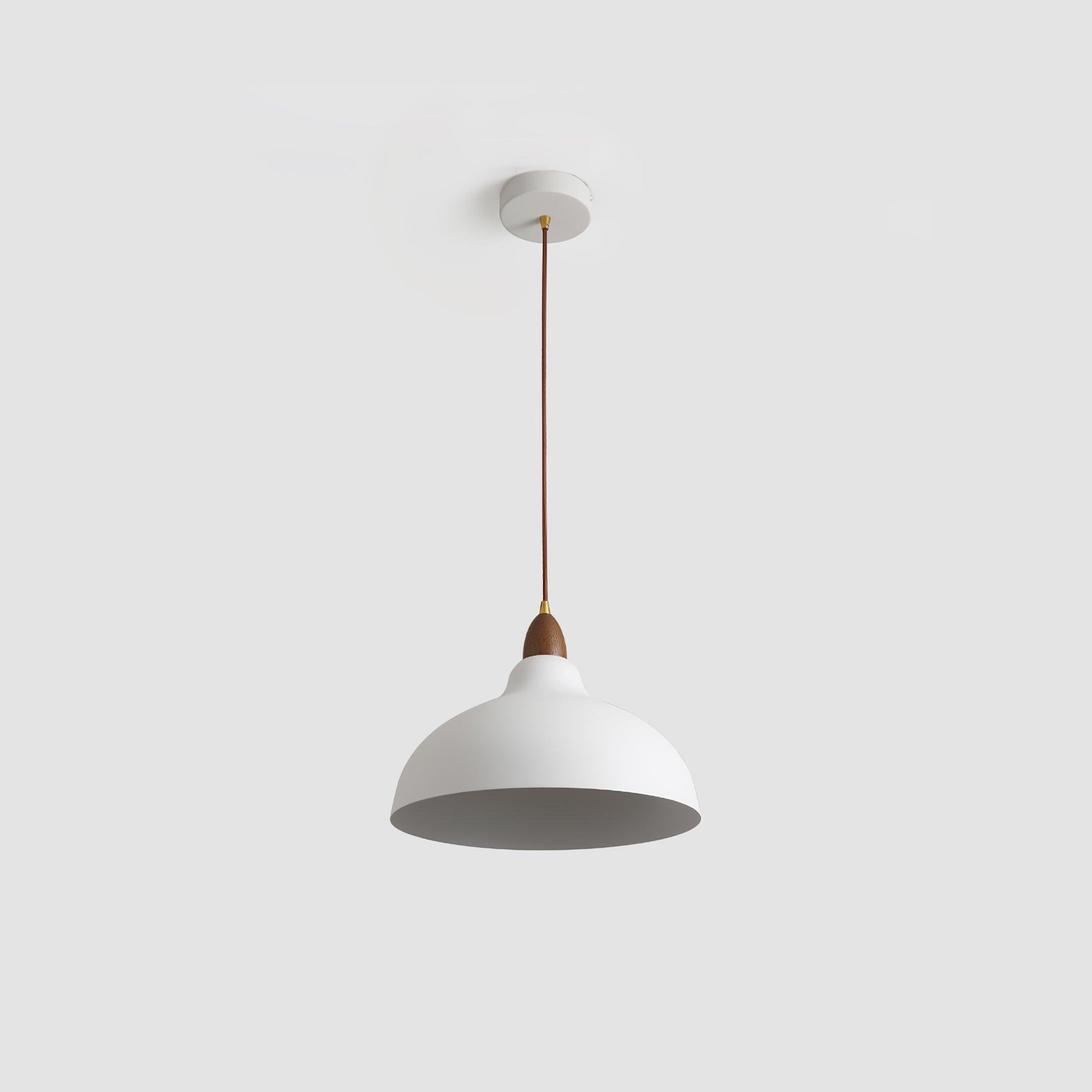 Silas Minimalist Metal Pendant Lamp - Letslighting