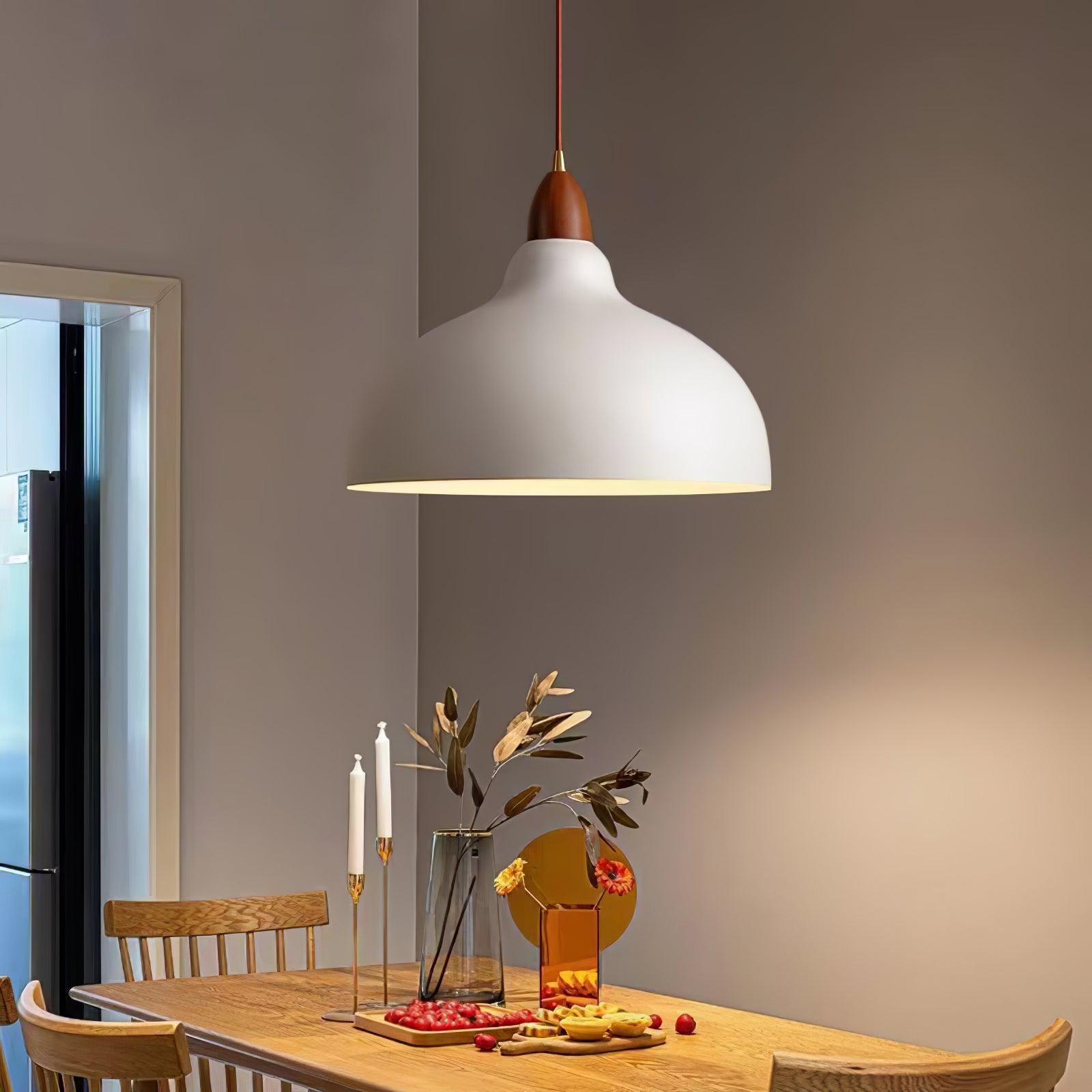 Silas Minimalist Metal Pendant Lamp - Letslighting