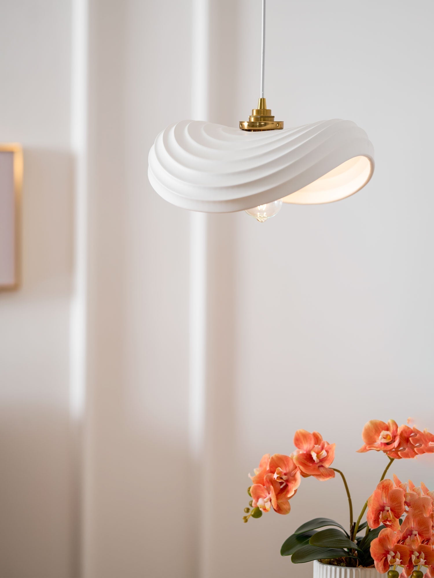 Navicula Pendant Light - Letslighting
