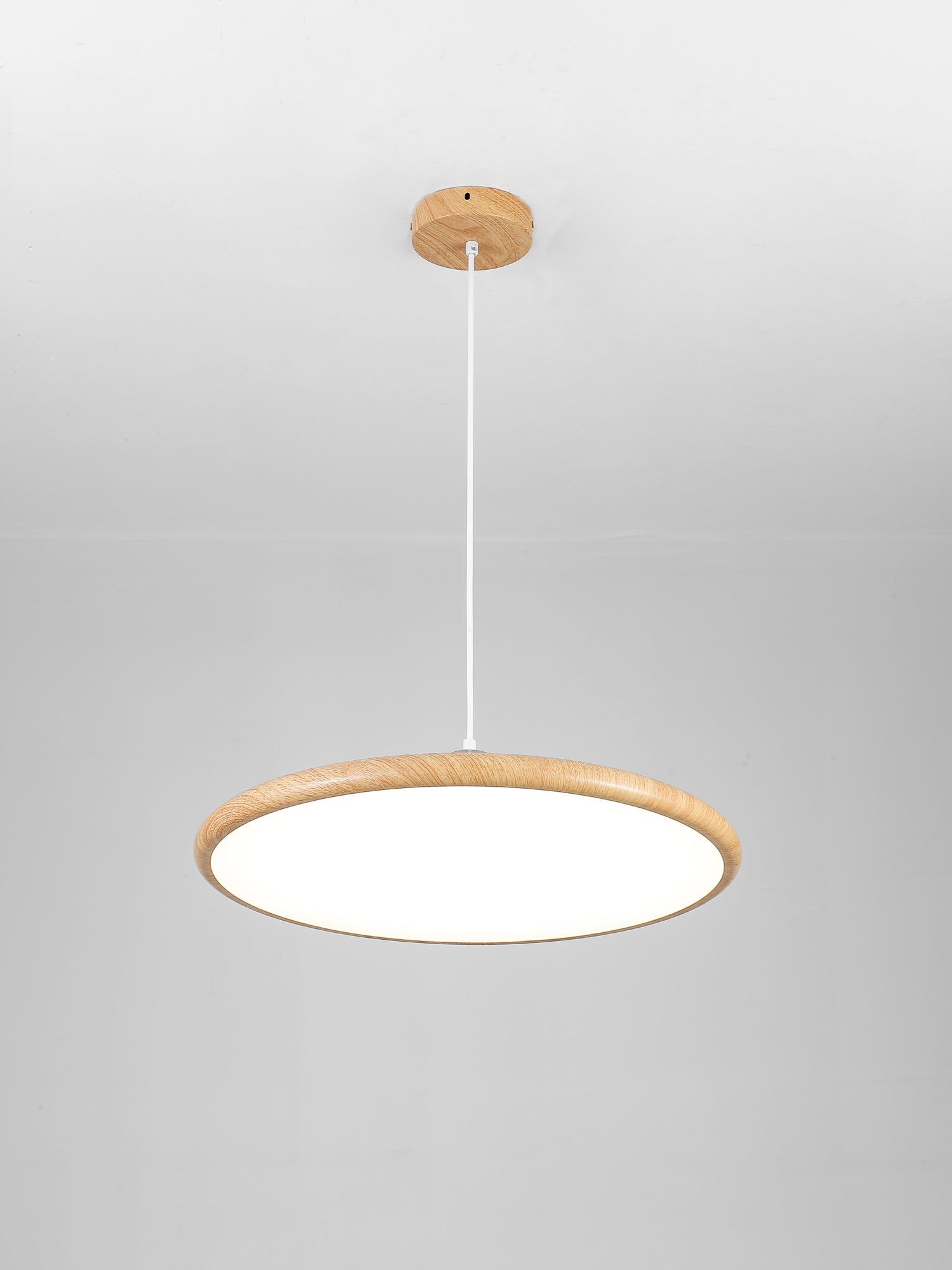 Chole Minimalist Metal Pendant Light - Letslighting