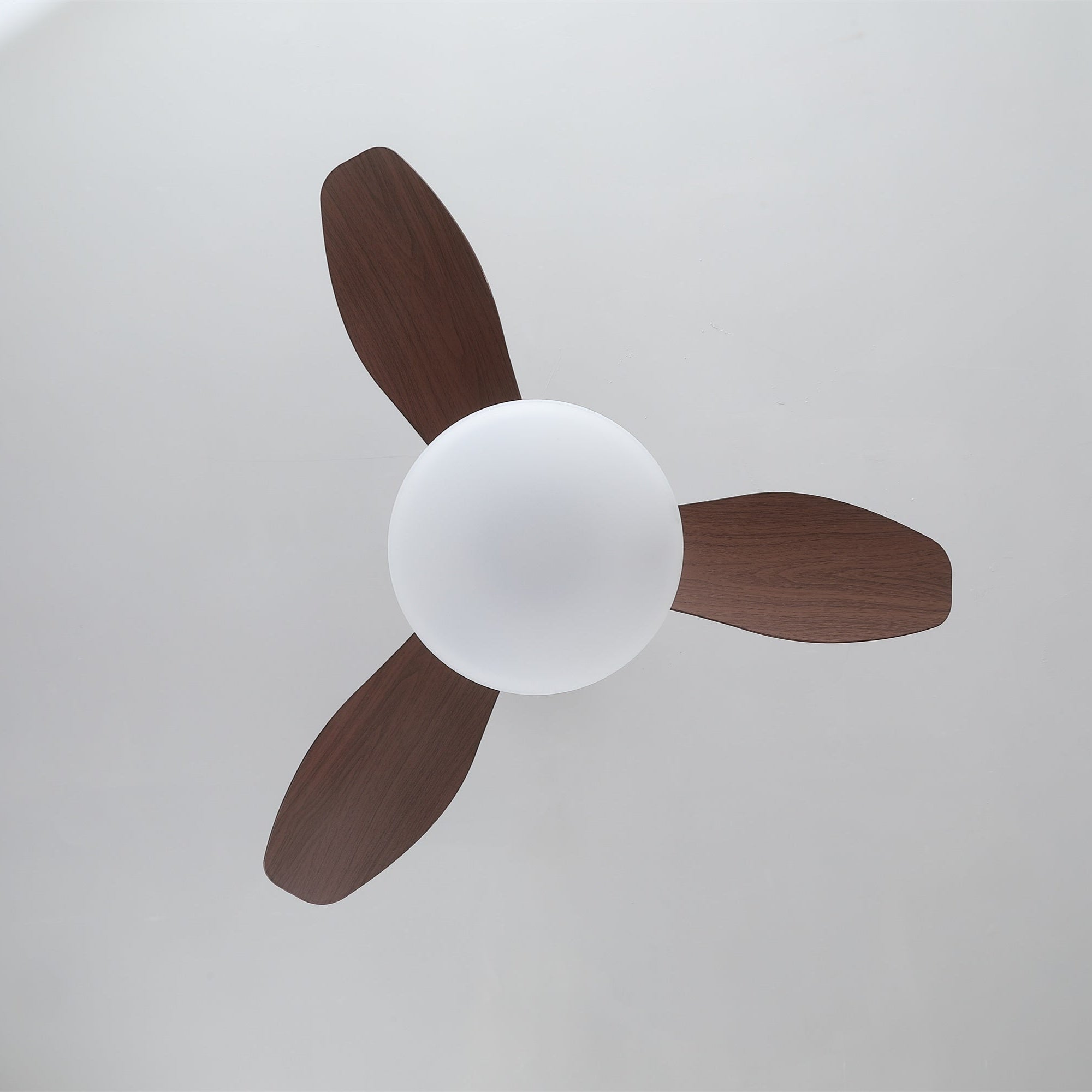 Ventilador de Techo con Luz Sylvara destacando su instalación con cableado directo