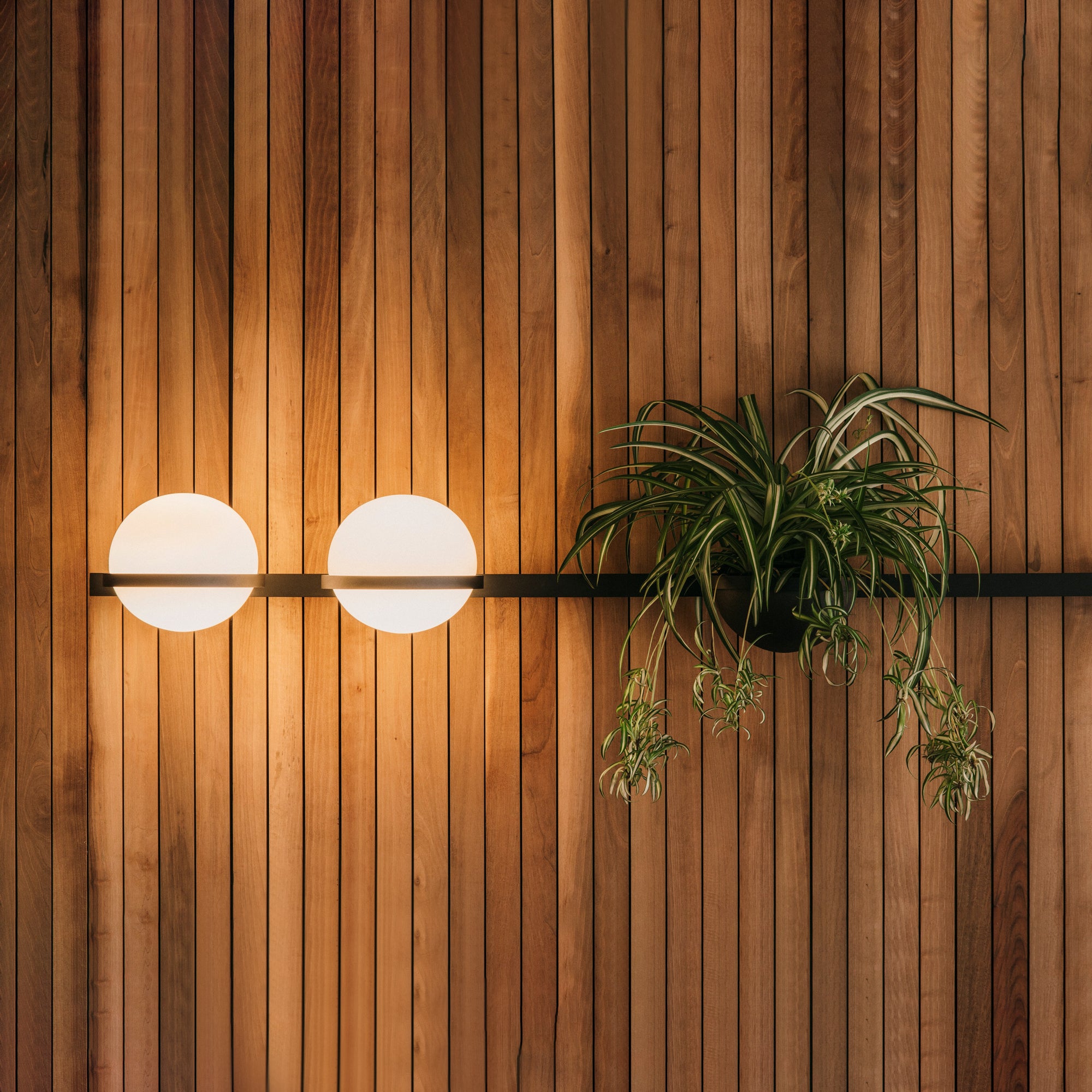 Solstice Wall Light - Letslighting