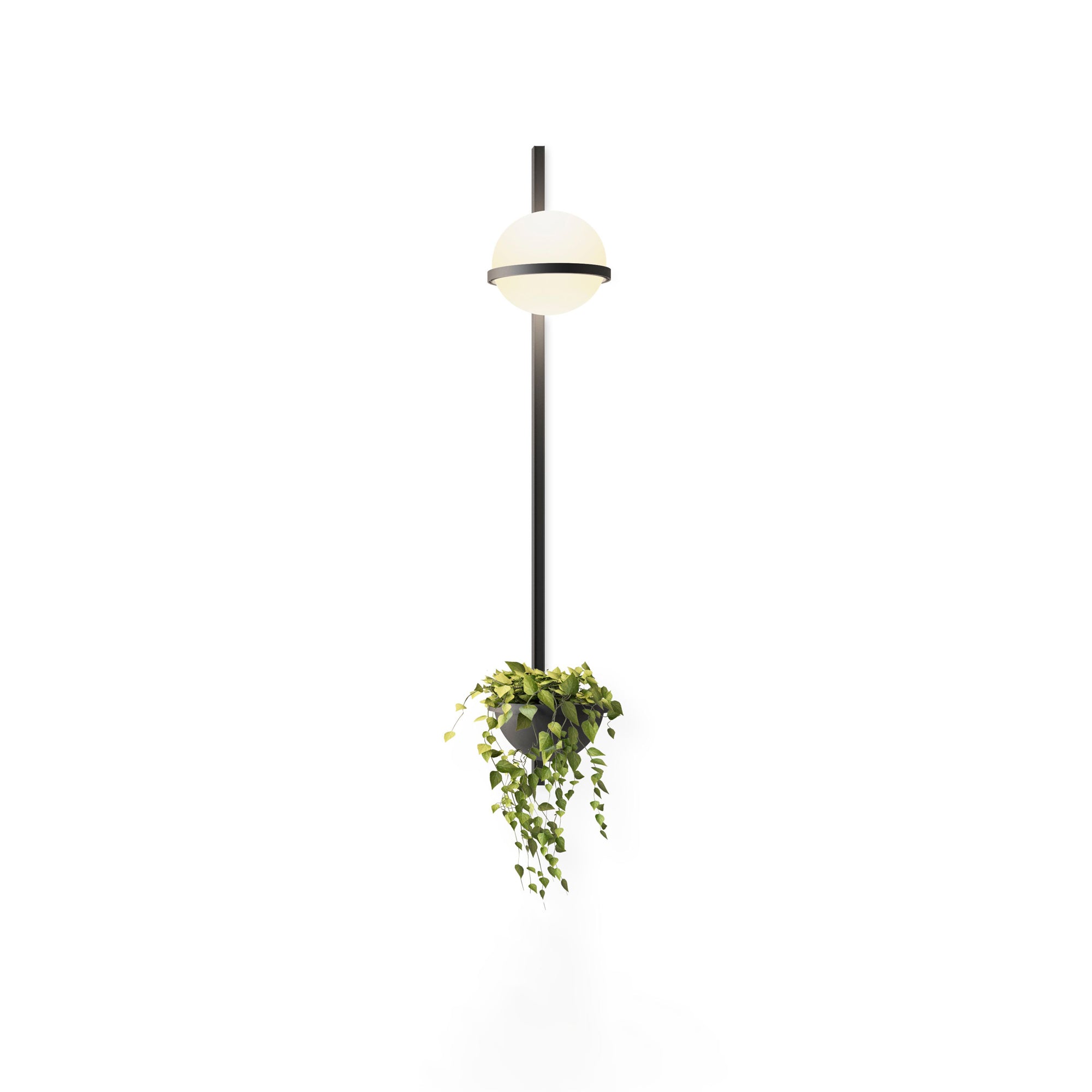 Solstice Wall Light - Letslighting