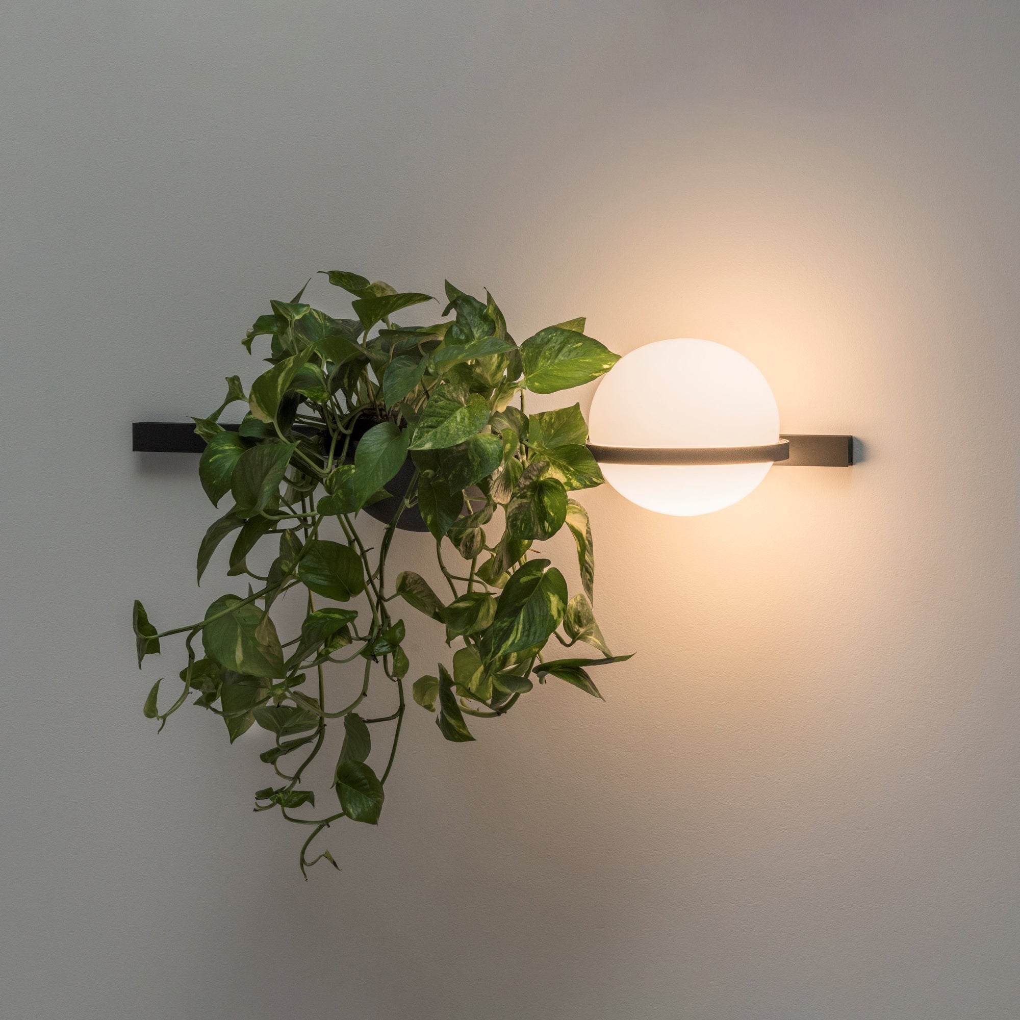 Solstice Wall Light - Letslighting