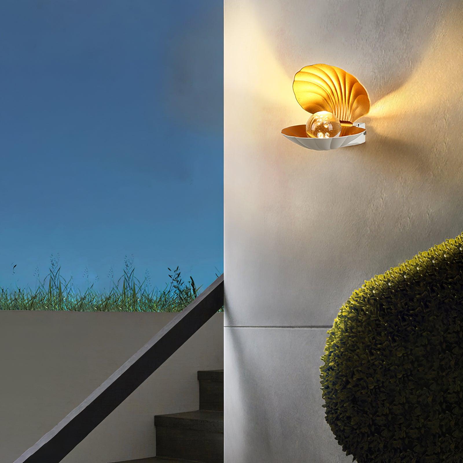 Pearl Clam Wall Light - Letslighting