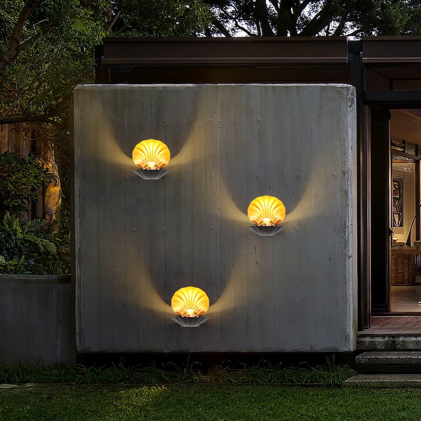 Pearl Clam Wall Light - Letslighting