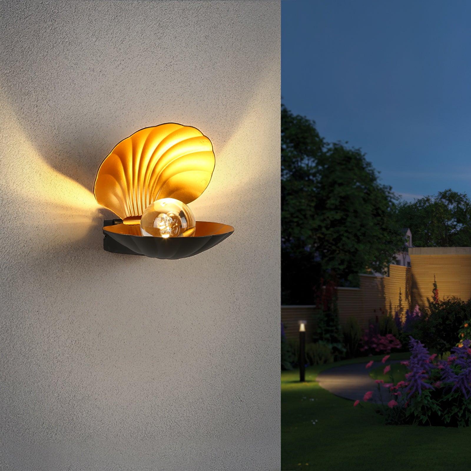 Pearl Clam Wall Light - Letslighting