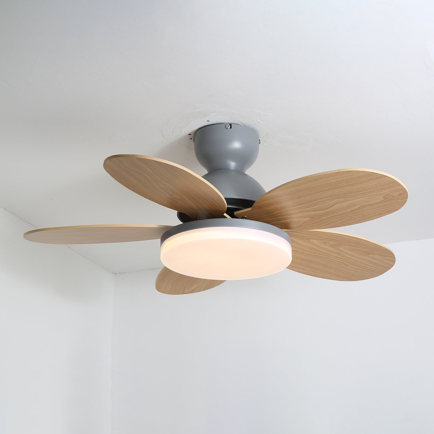 Ventilador de Techo Colorido Liora, vista lateral