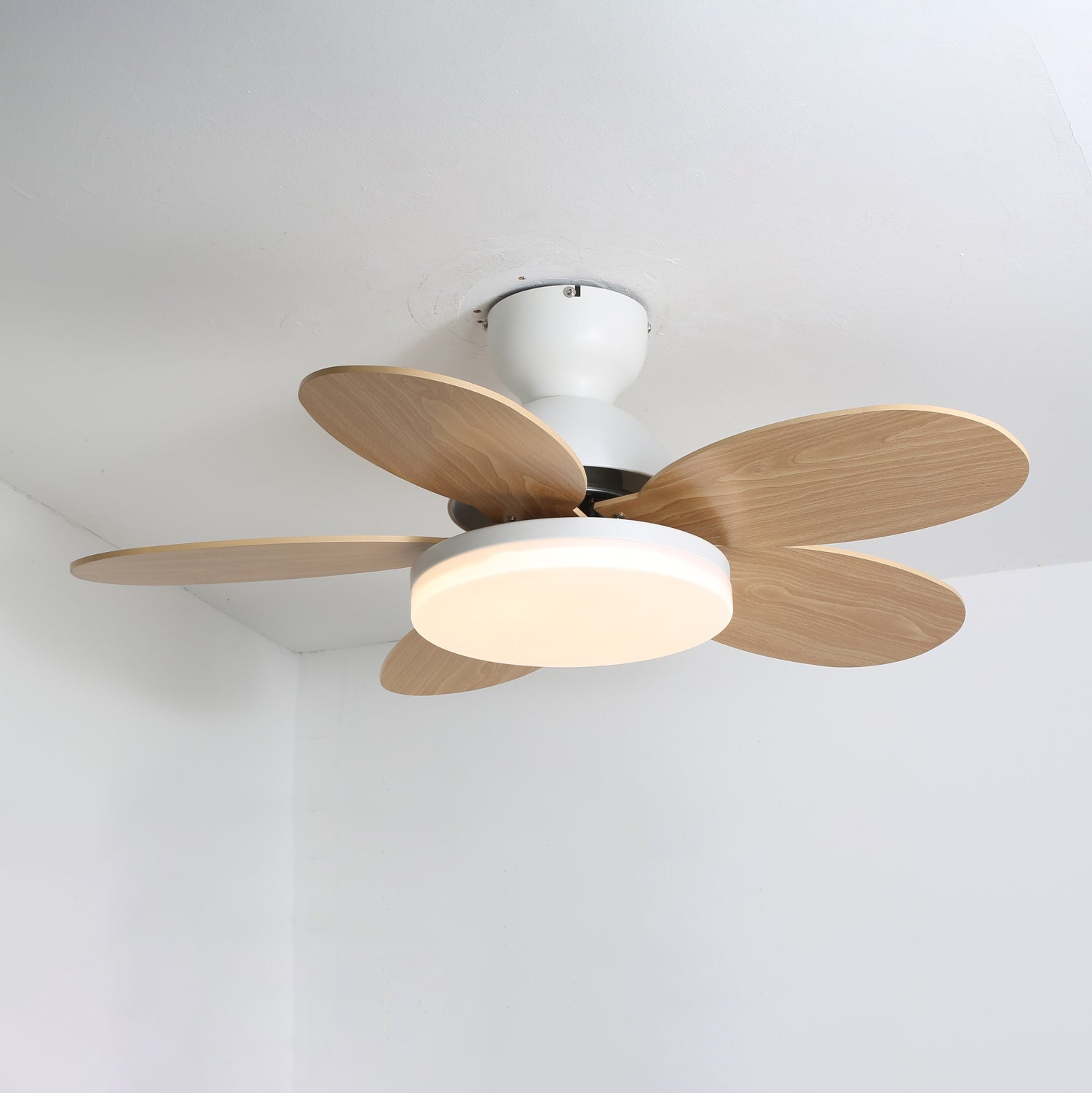 Ventilador de Techo con Luz Liora con acabado de cuerpo en Negro
