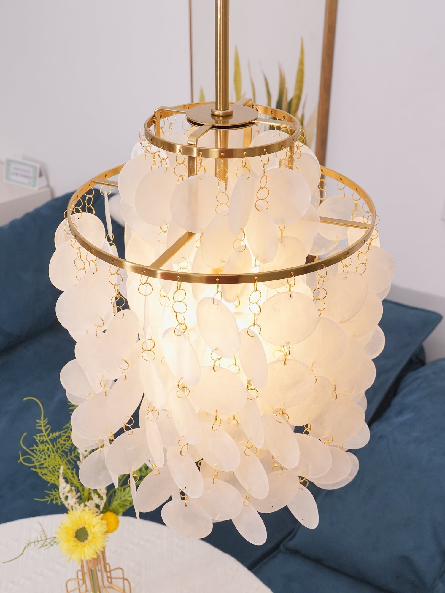 Round Shell Chandelier - Letslighting