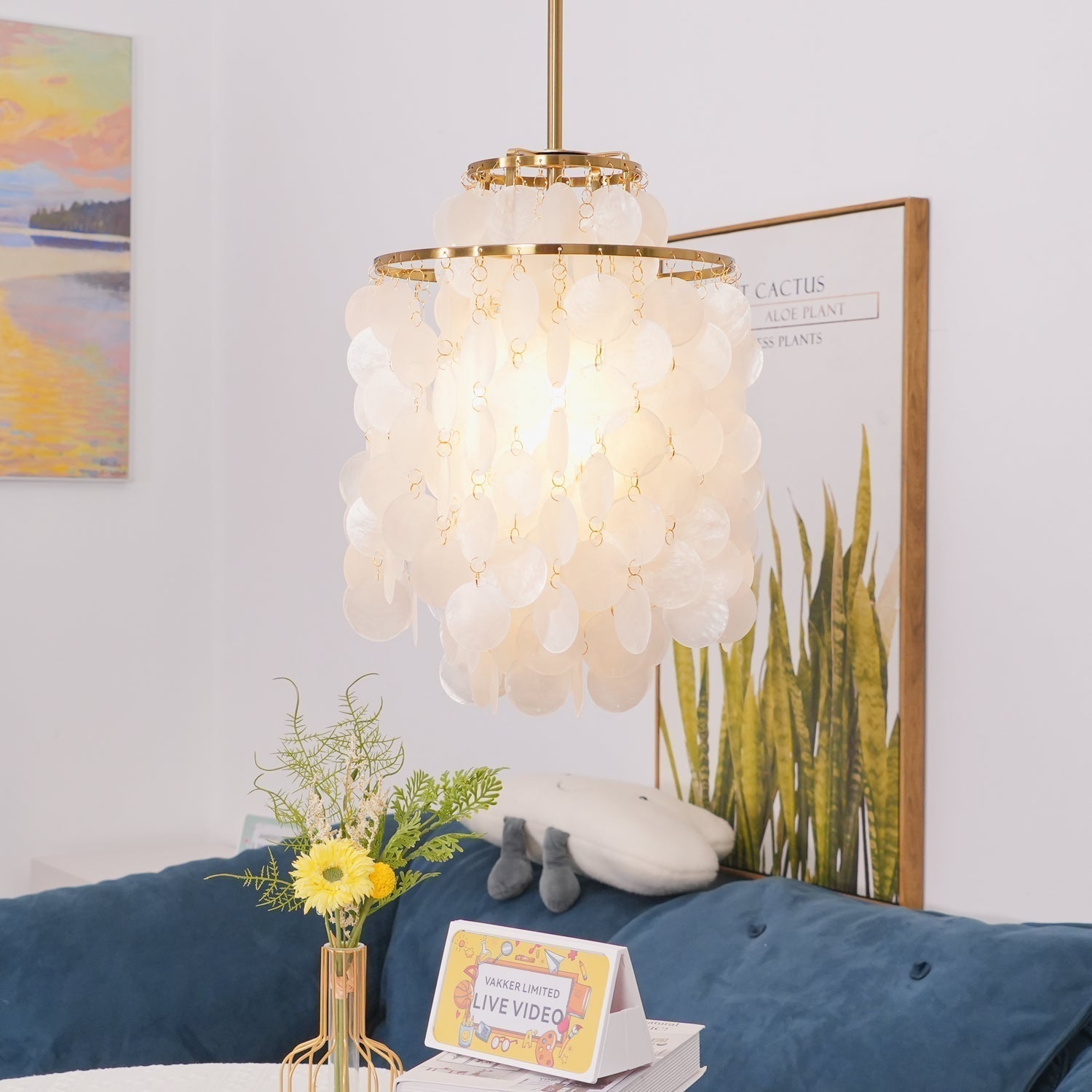 Round Shell Chandelier - Letslighting