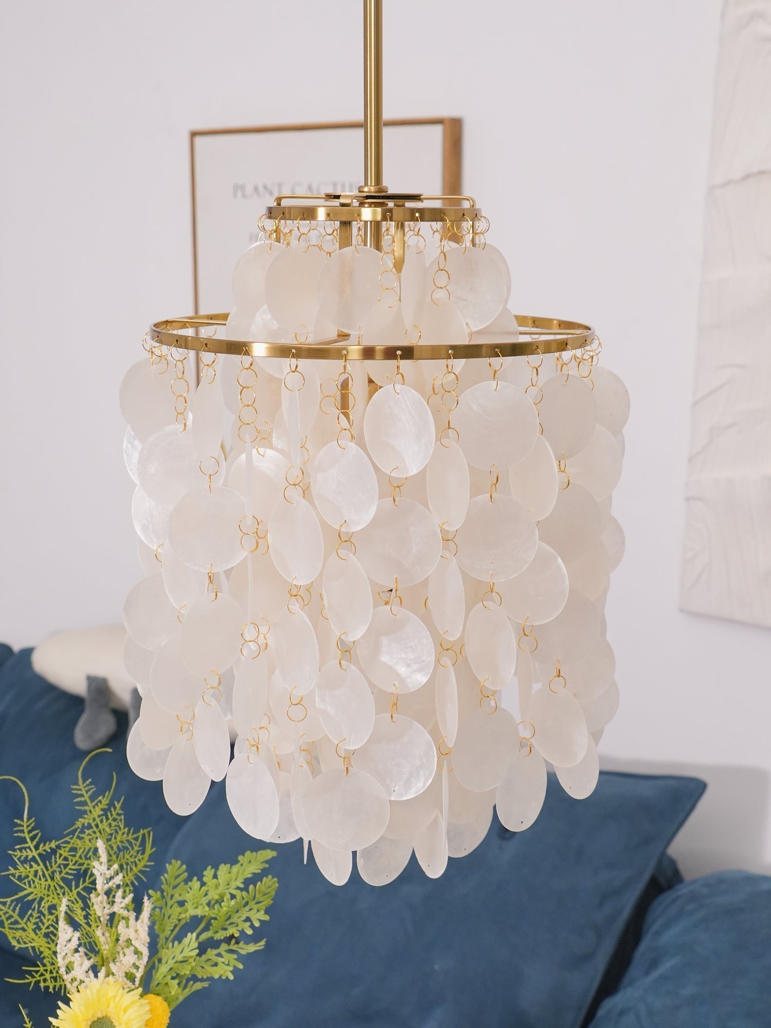Round Shell Chandelier - Letslighting