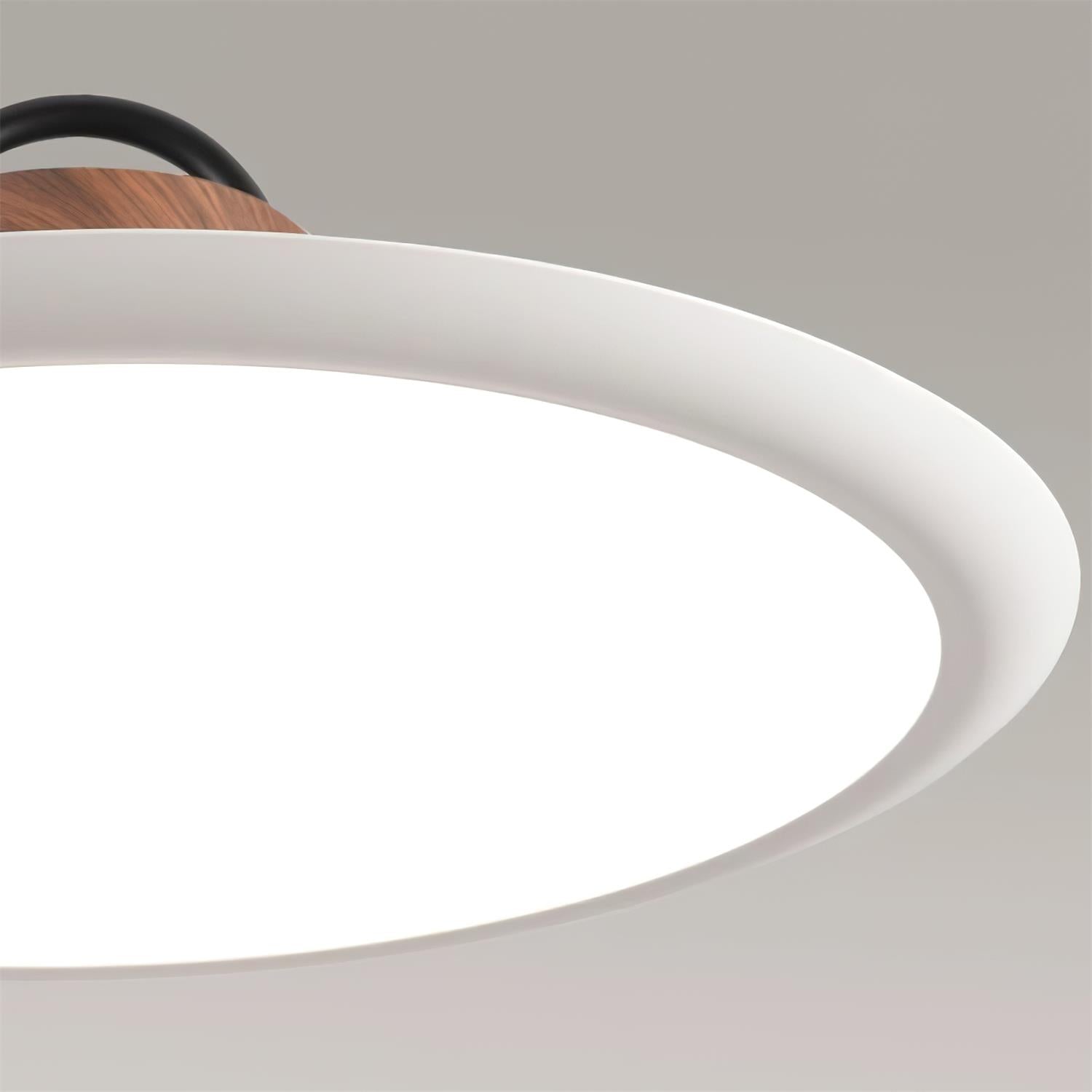 Ruile Pendant Lamp - Letslighting