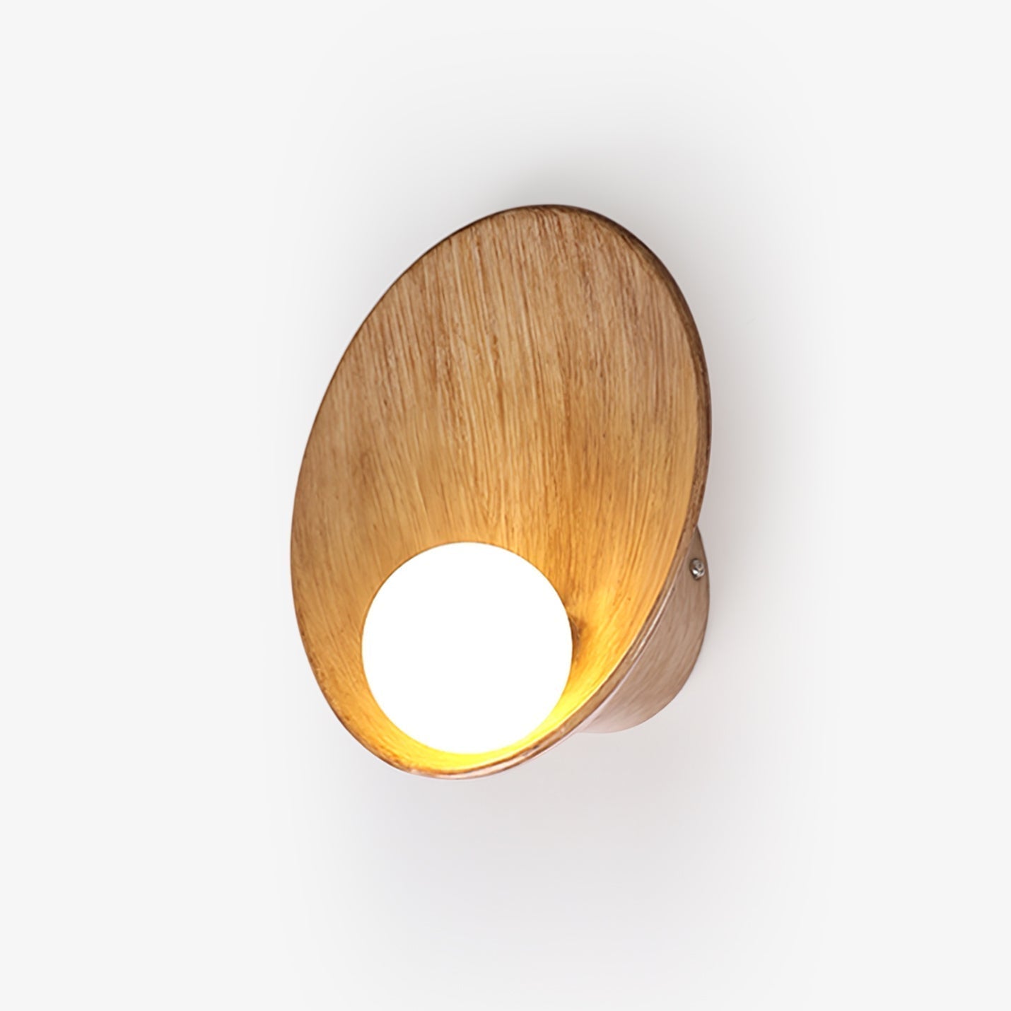 Seashell Resin Wall Lamp - Letslighting