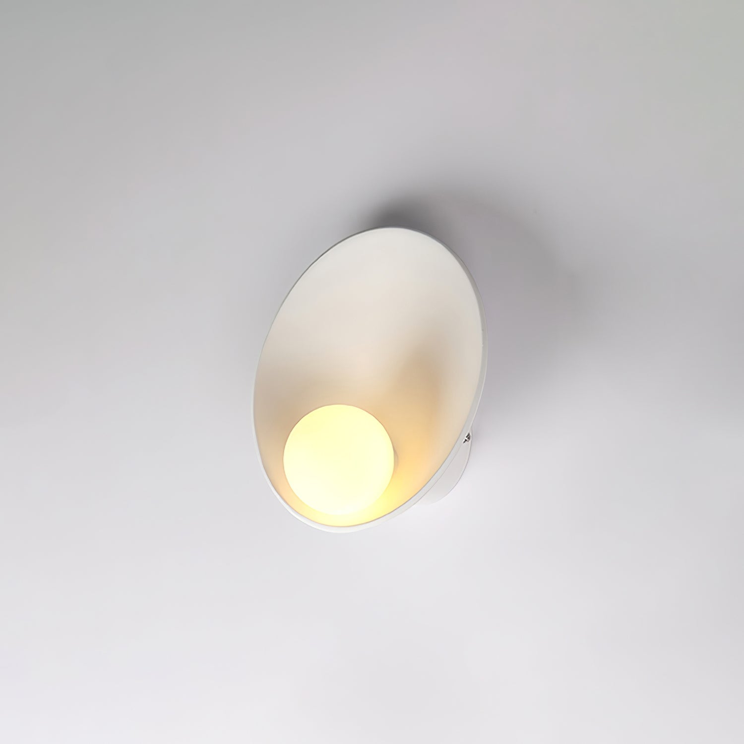 Seashell Resin Wall Lamp - Letslighting
