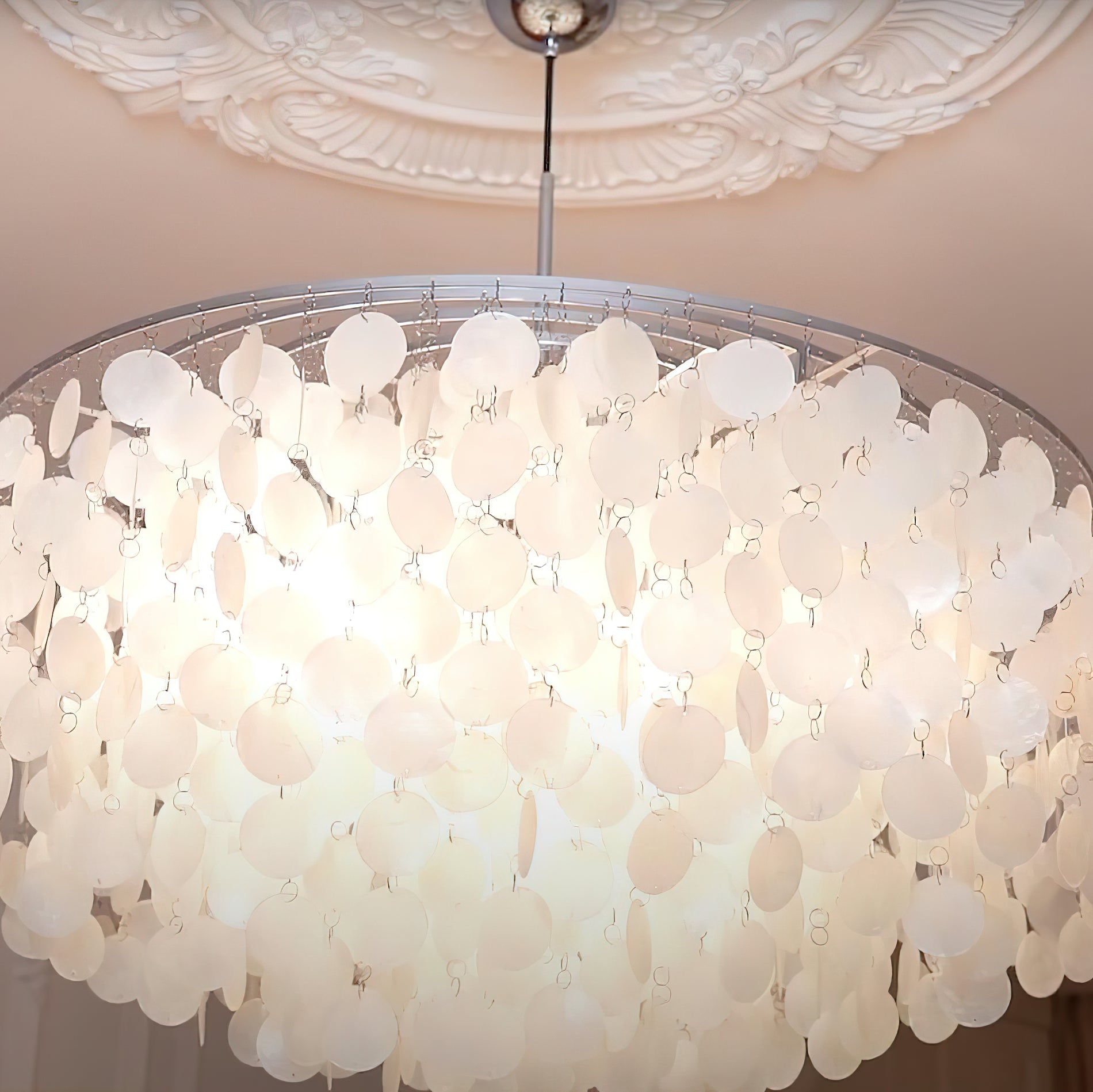 Round Shell Chandelier - Letslighting