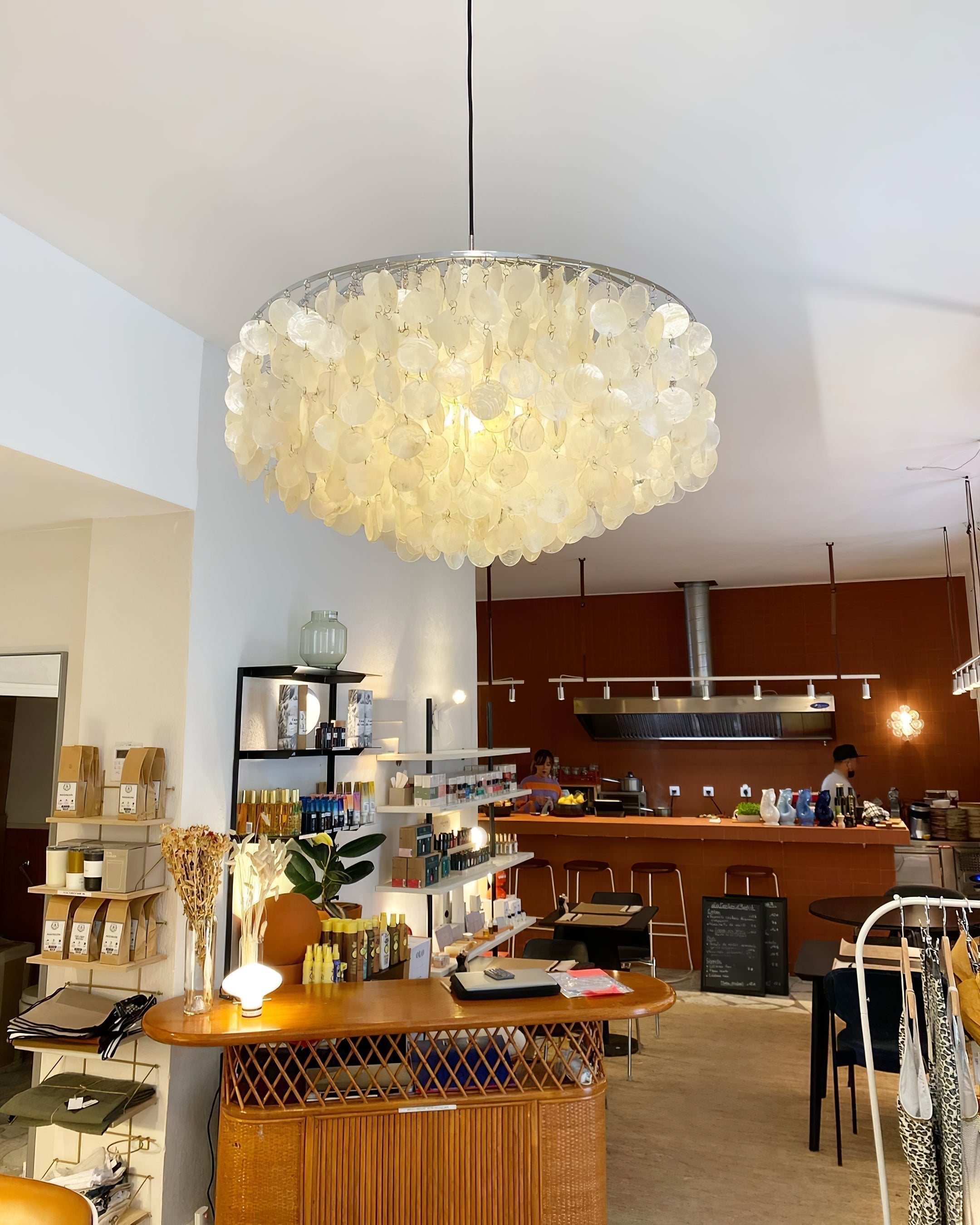 Round Shell Chandelier - Letslighting