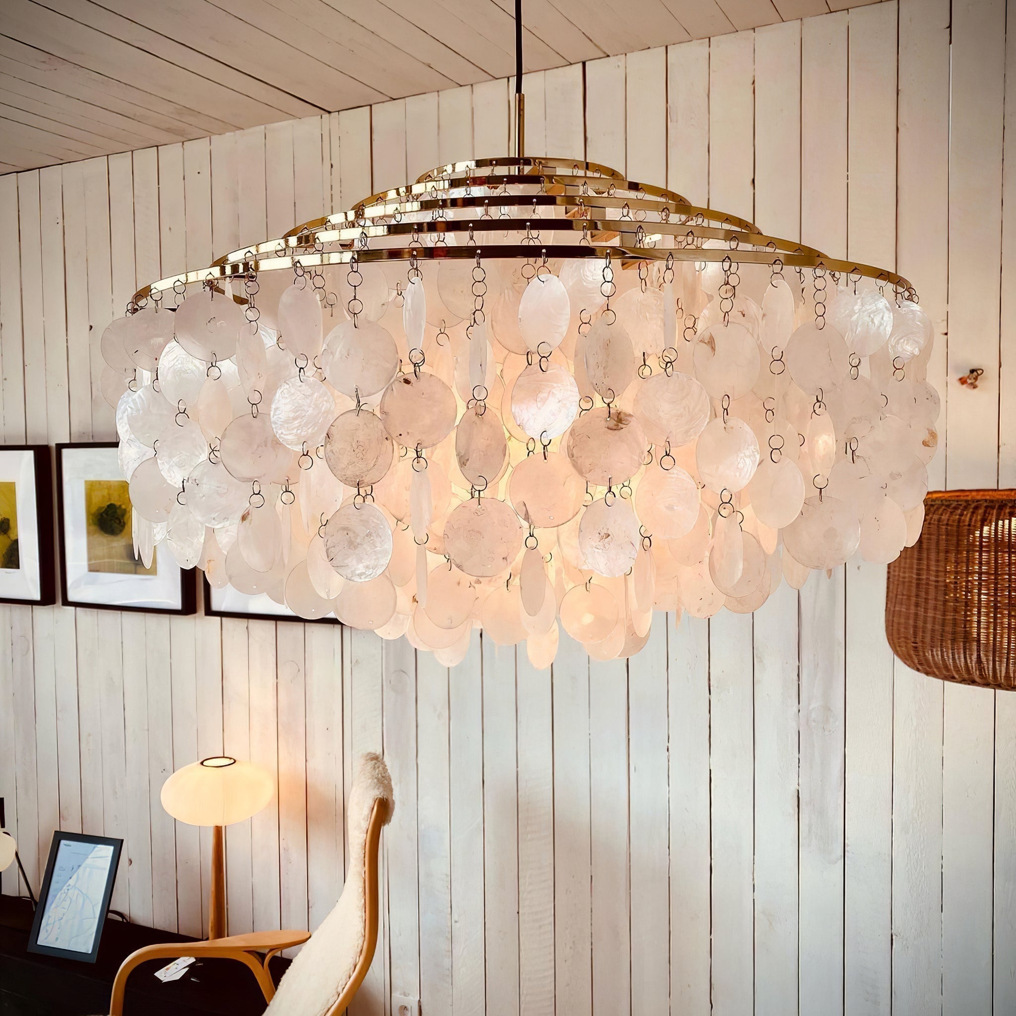 Round Shell Chandelier - Letslighting