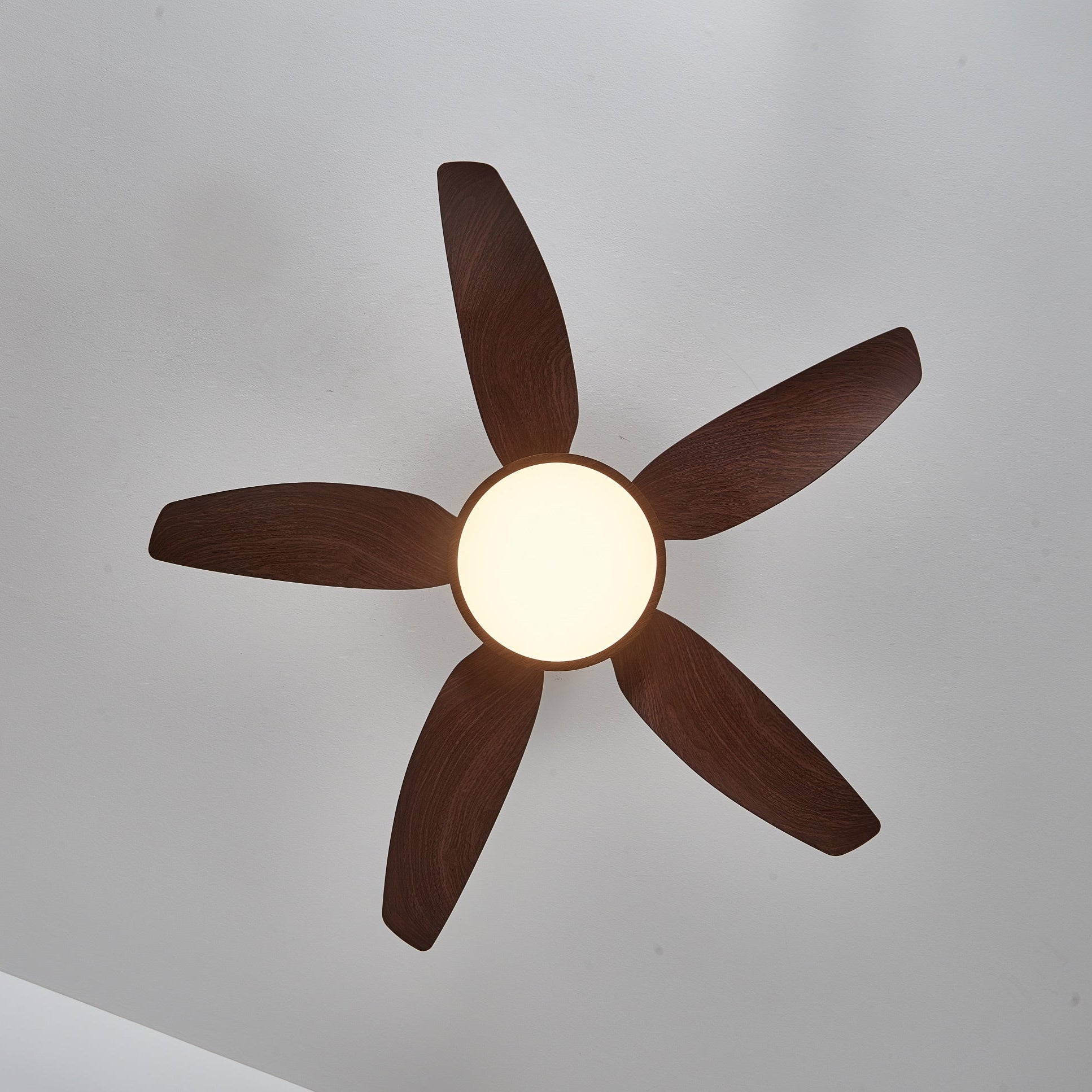 Ángulo diferente del ventilador con luz Aurelia.