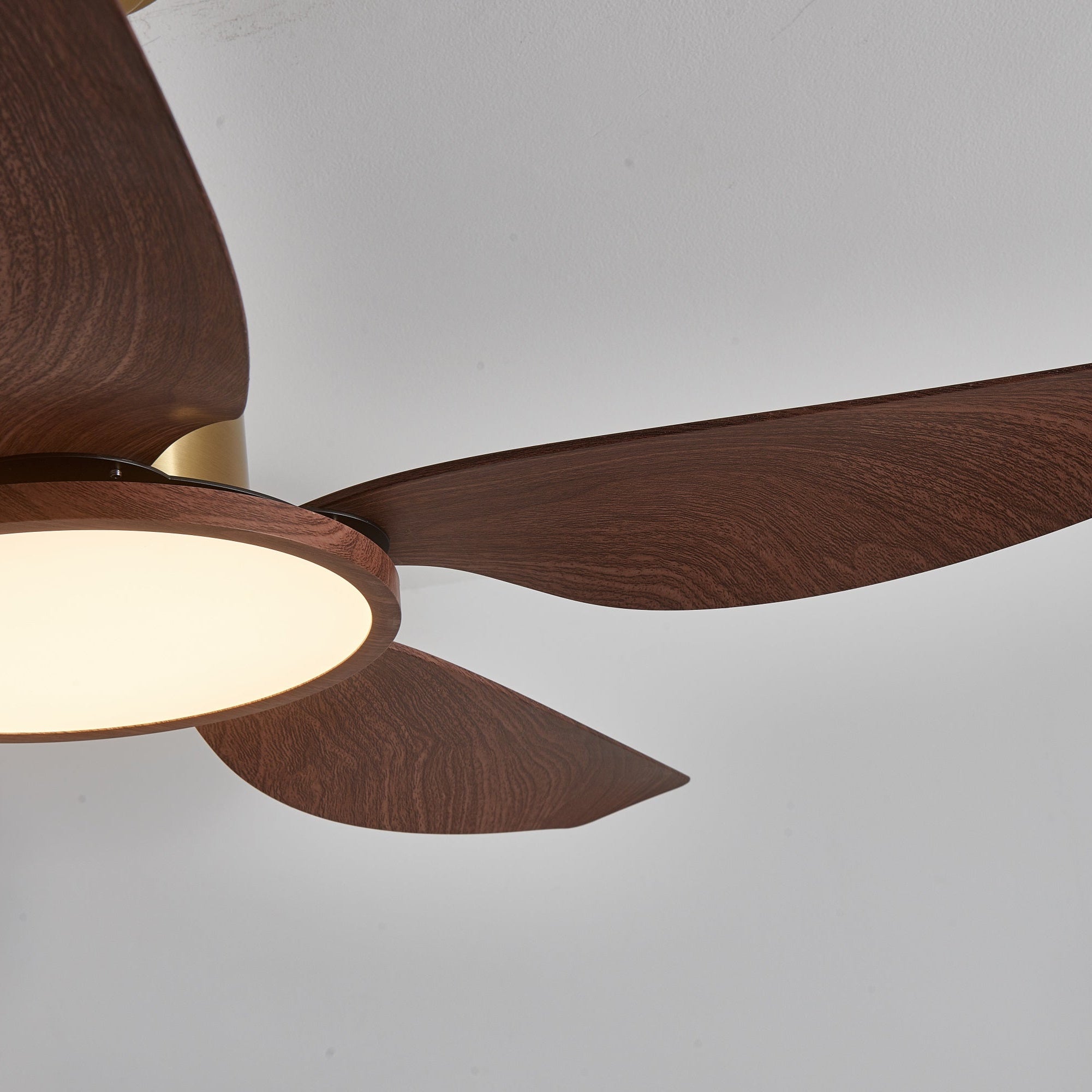 Detalle de las aspas de ABS del ventilador Aurelia.