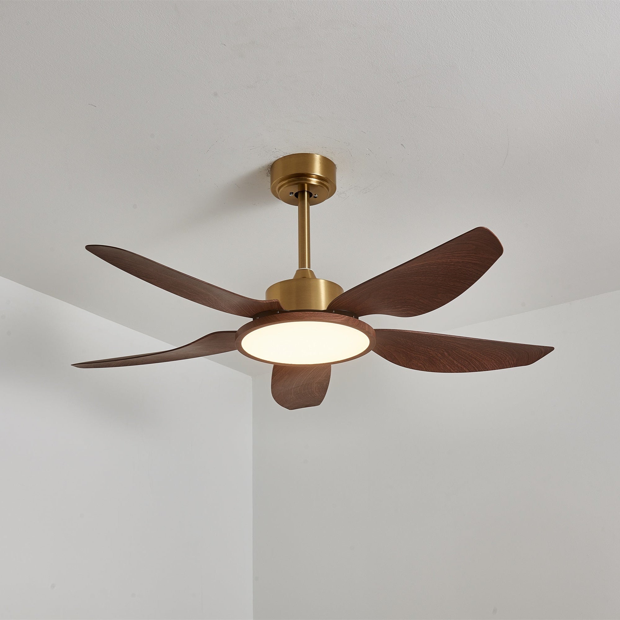Ventilador con luz Aurelia, mostrando su idoneidad para ambientes interiores.