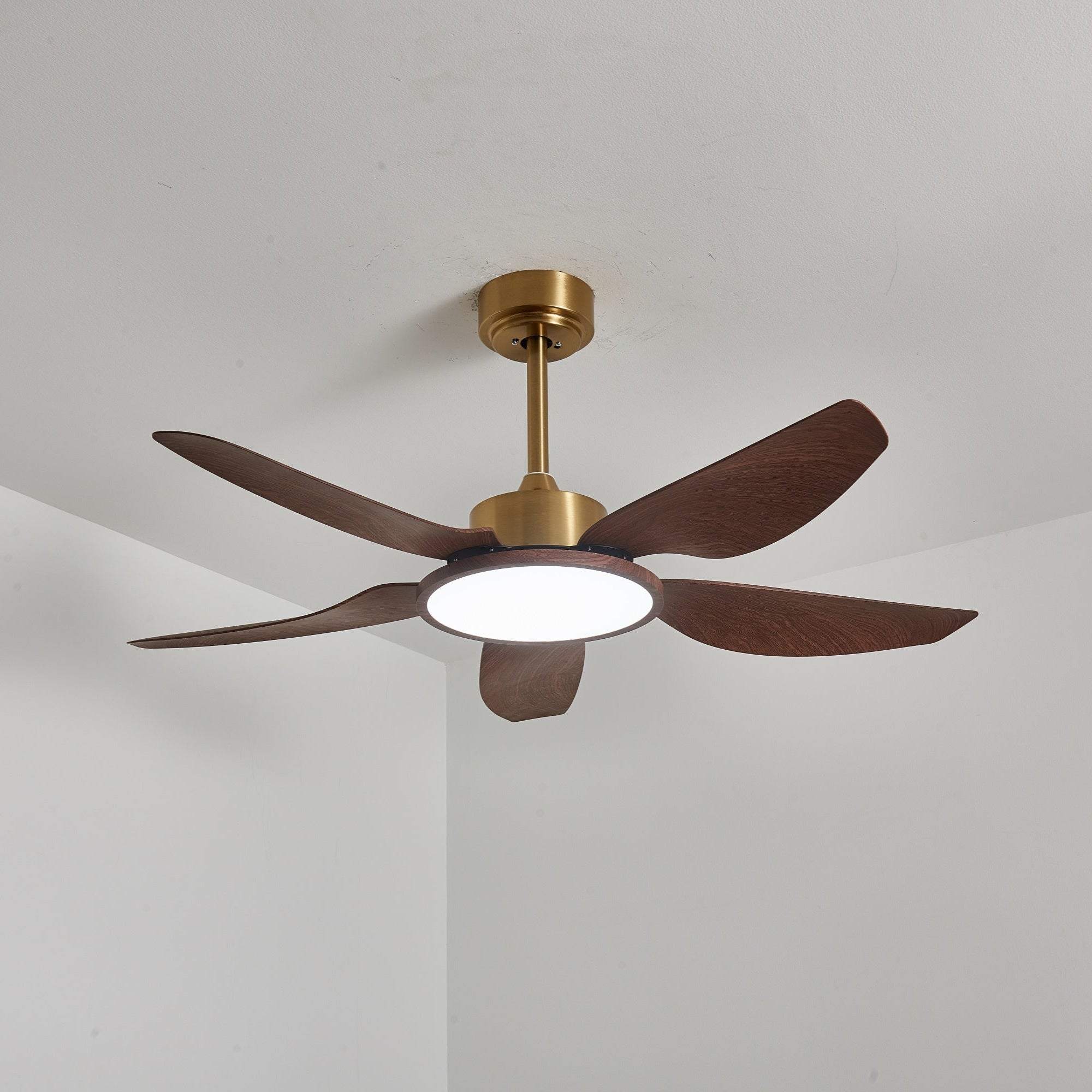 Ventilador con luz Aurelia, demostrando su potencia de frecuencia variable.