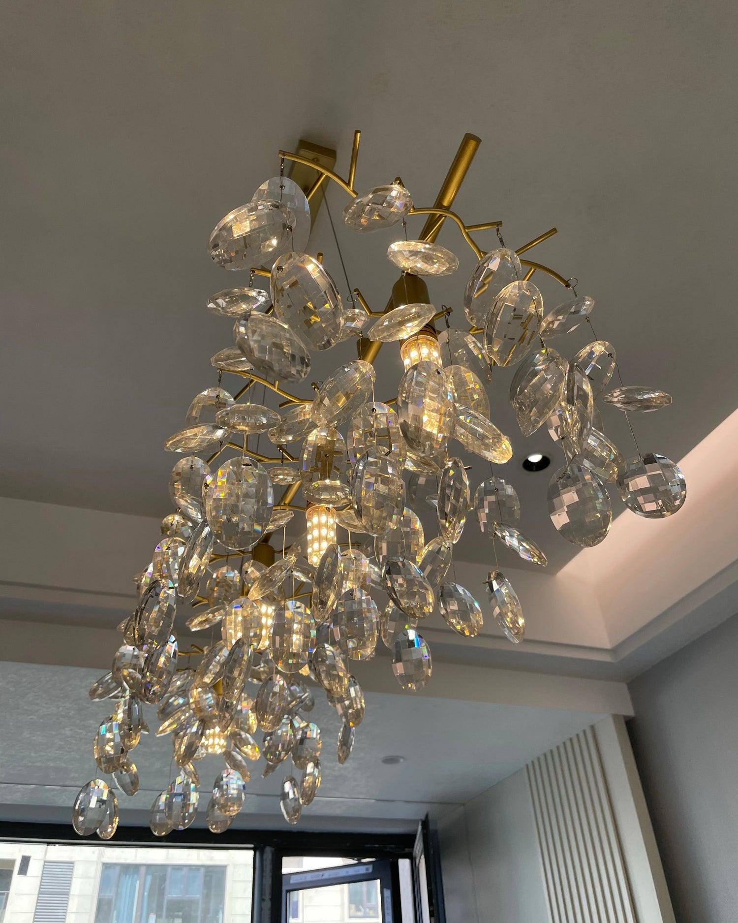 Sofia Chandeliers - Letslighting
