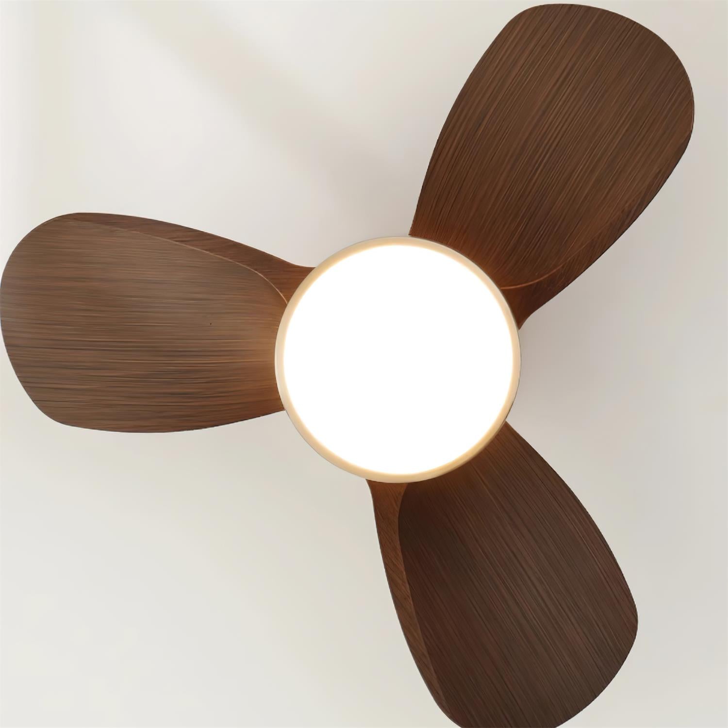 Ventilador de techo Ventra con luz y su motor de cobre puro visible