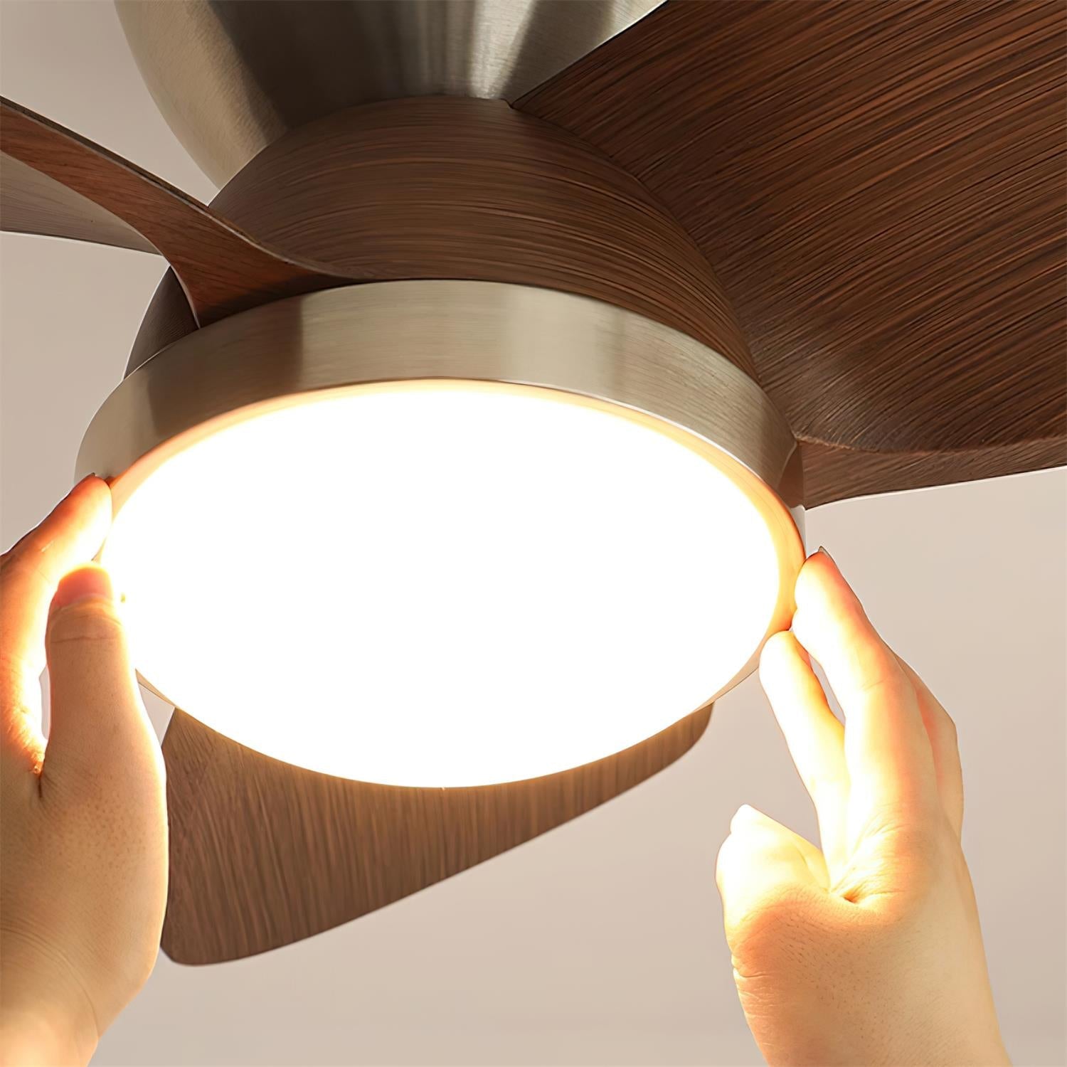 Ventilador de techo Ventra con luz en un interior contemporáneo
