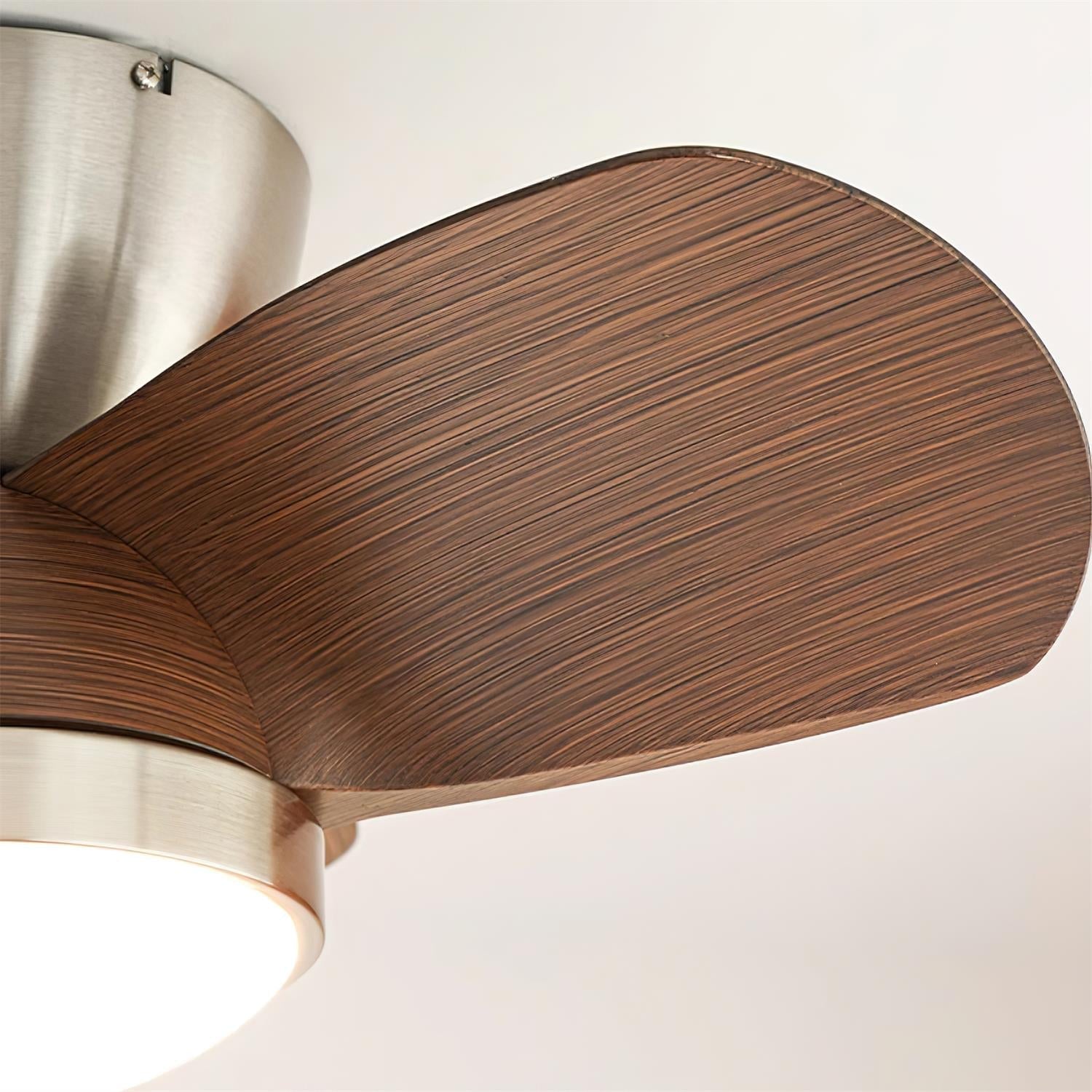 Ventilador de techo Ventra con luz con función de control de 6 velocidades