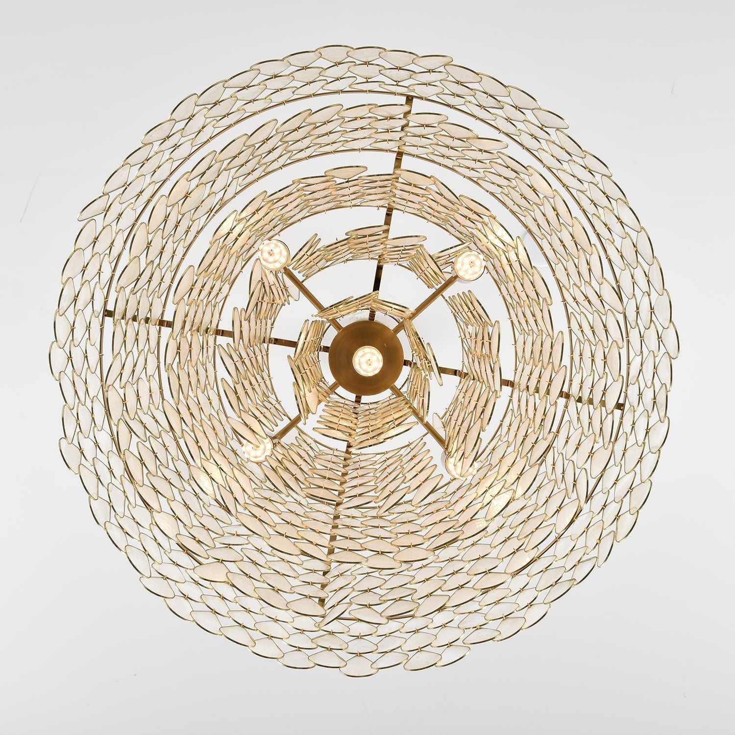 Teardrops Shell Chandelier - Letslighting