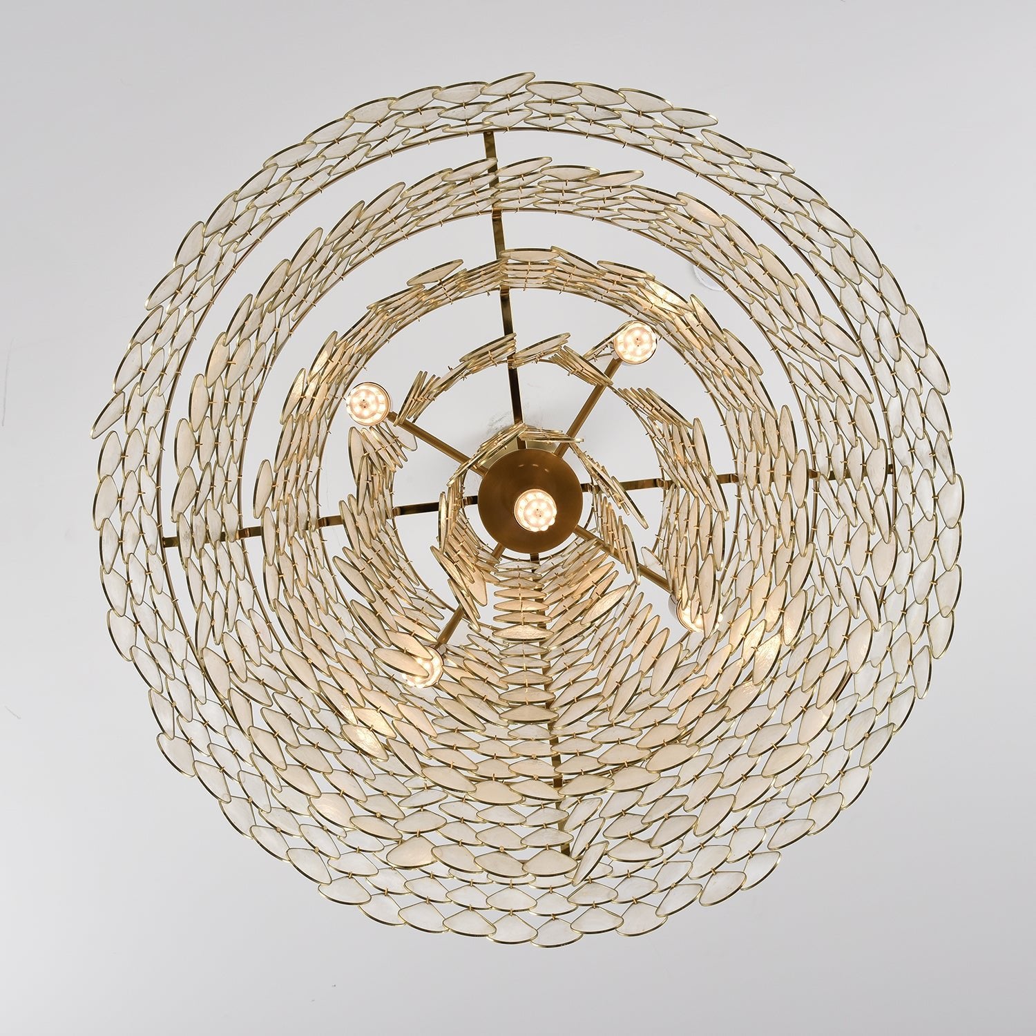 Teardrops Shell Chandelier - Letslighting