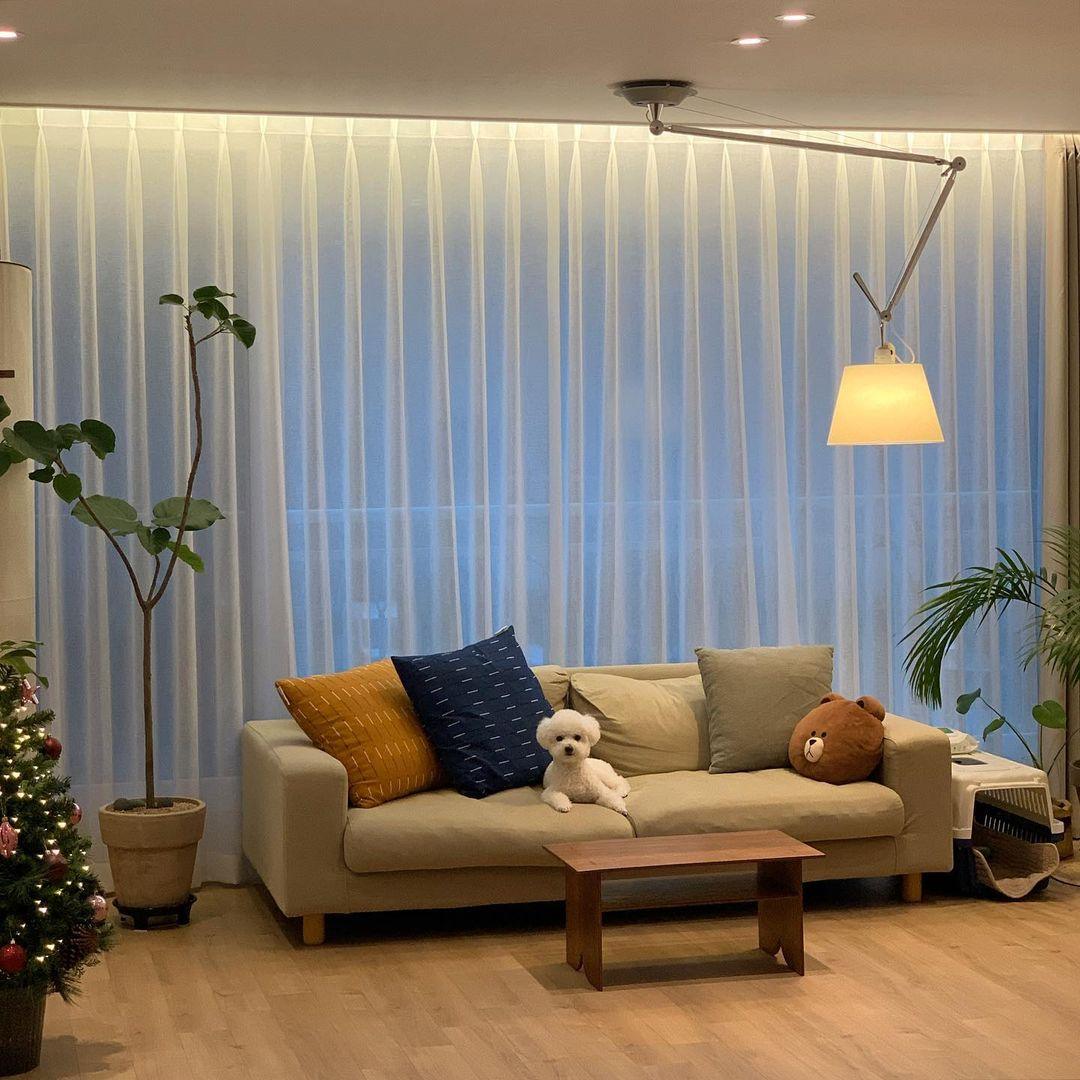 Rotatable Ceiling Pendant Light - Letslighting