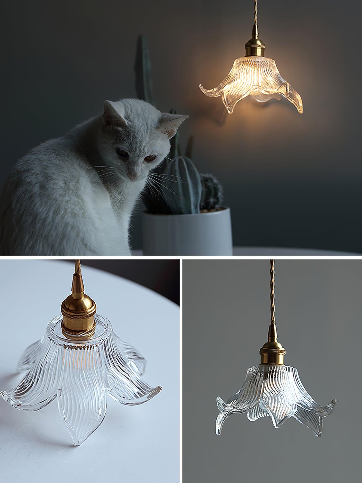 Transparent Crystal Pendant Light - Letslighting