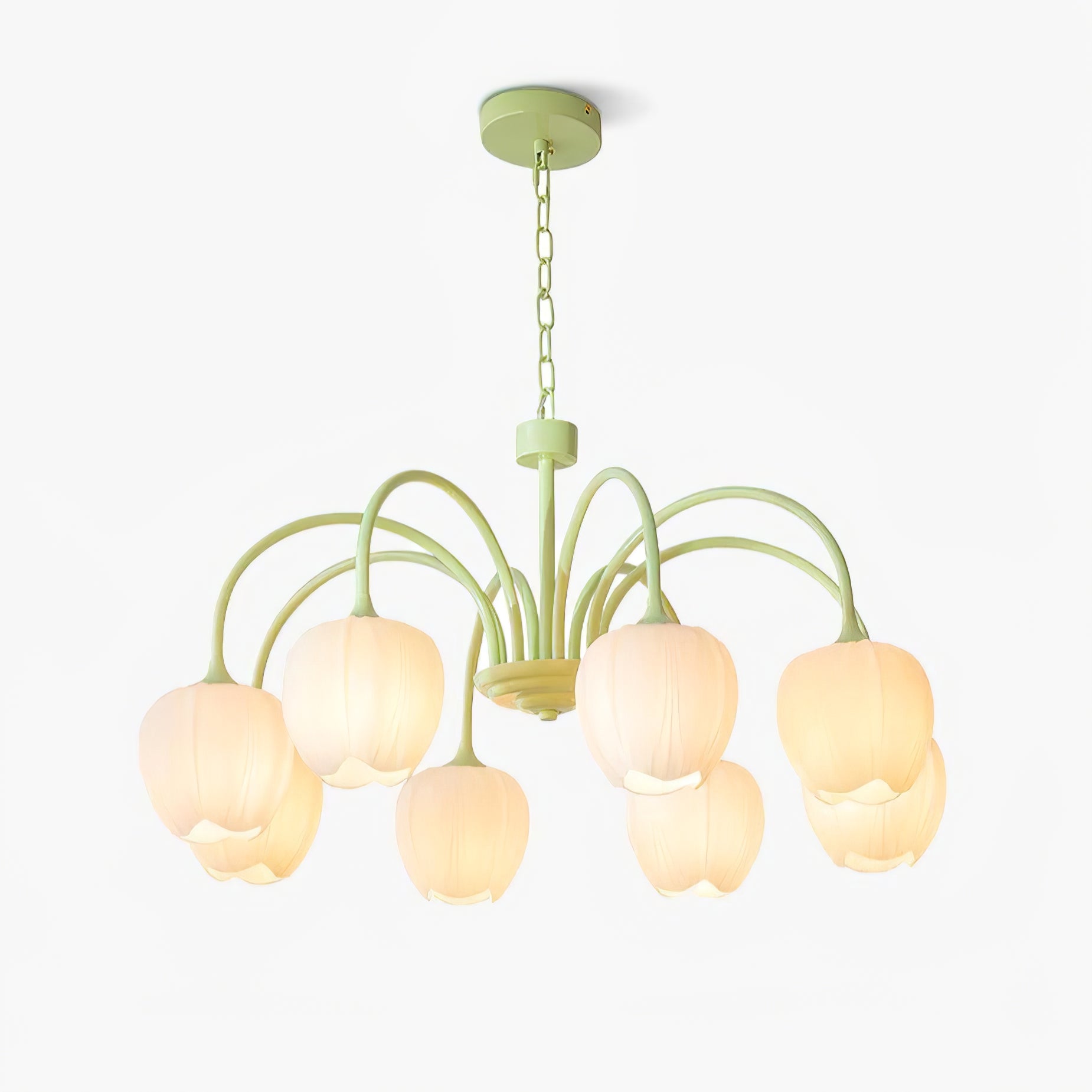 Tulip Matcha Chandelier - Letslighting
