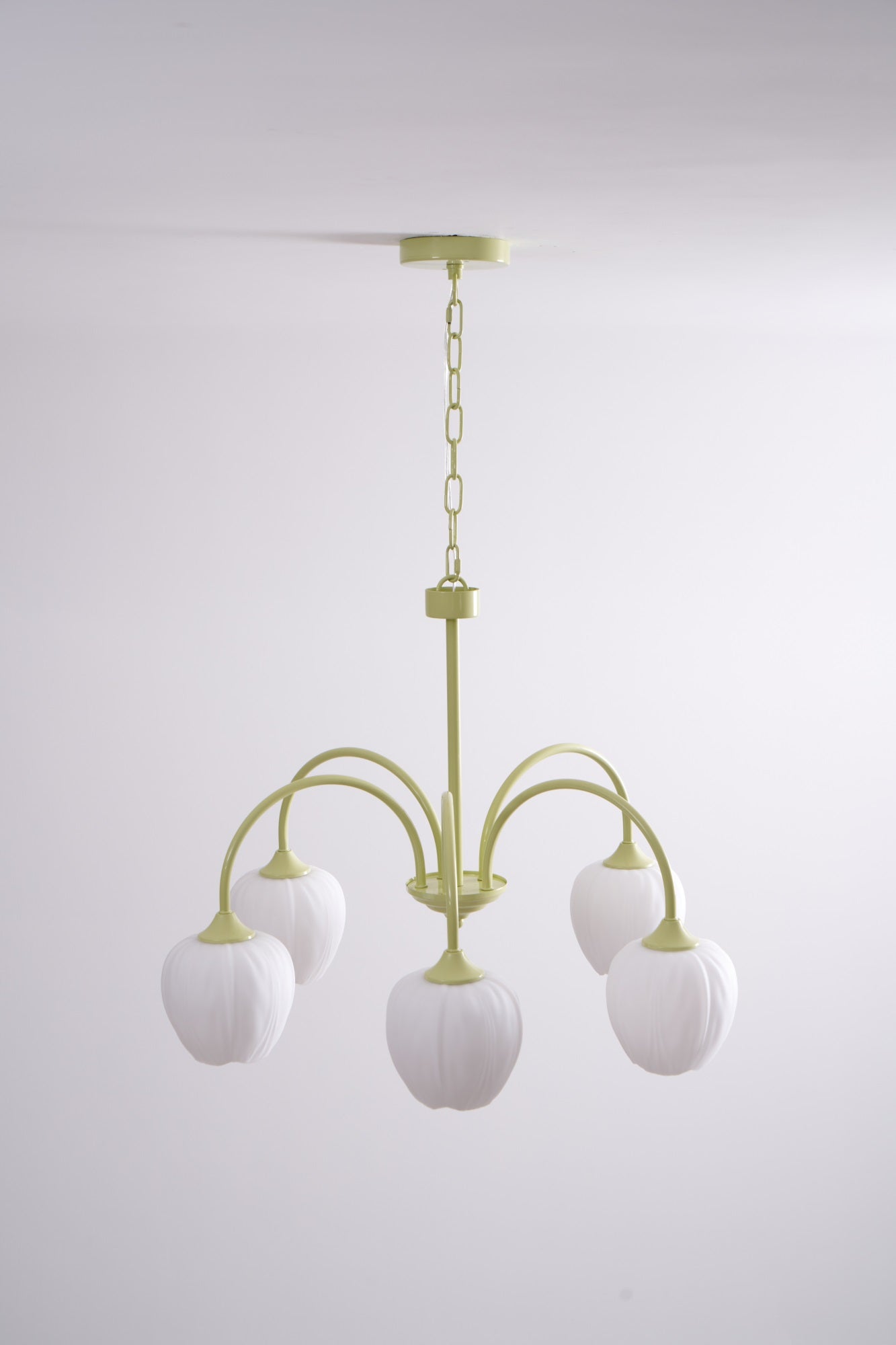 Tulip Matcha Chandelier - Letslighting