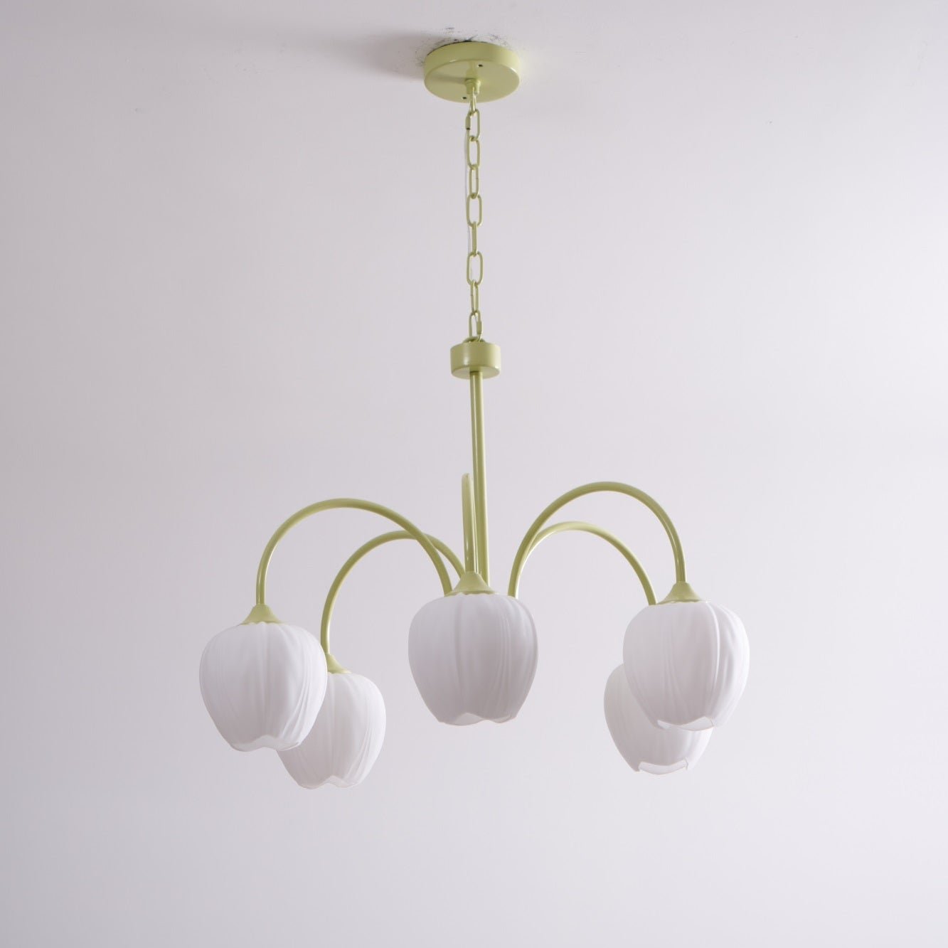 Tulip Matcha Chandelier - Letslighting
