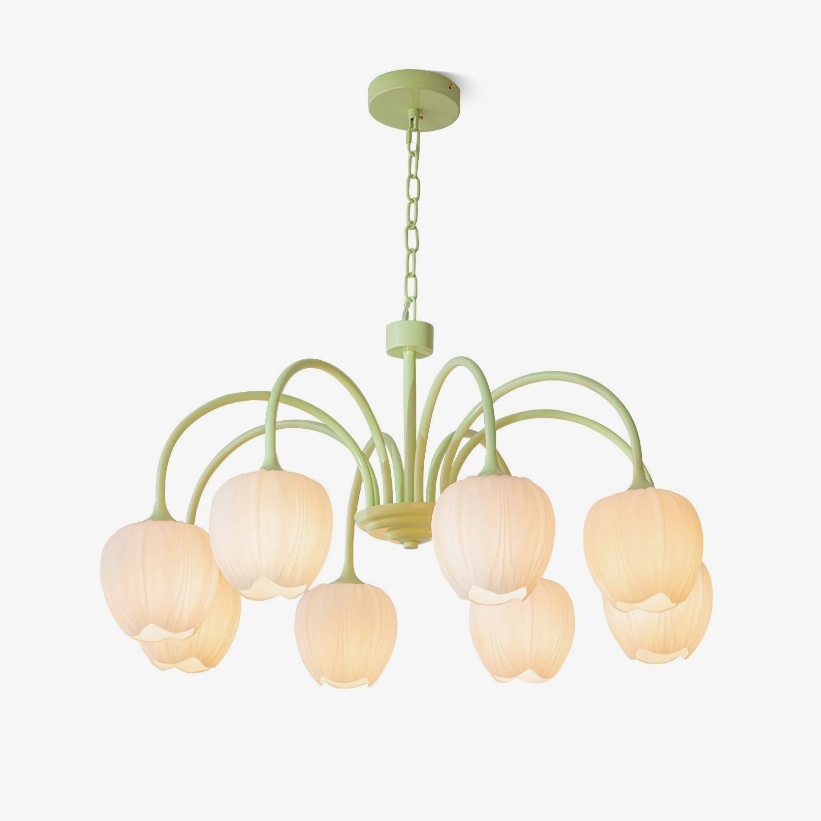 Tulip Matcha Chandelier - Letslighting