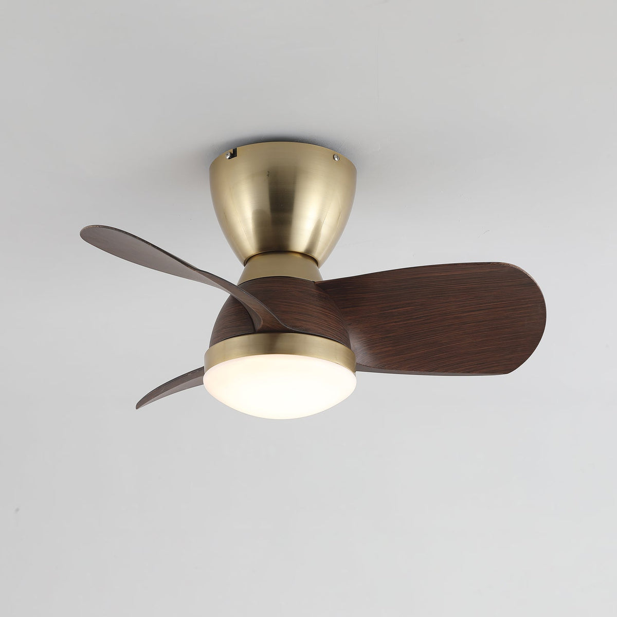 Ventilador de Techo Elora con opción de acabado de cuerpo en oro