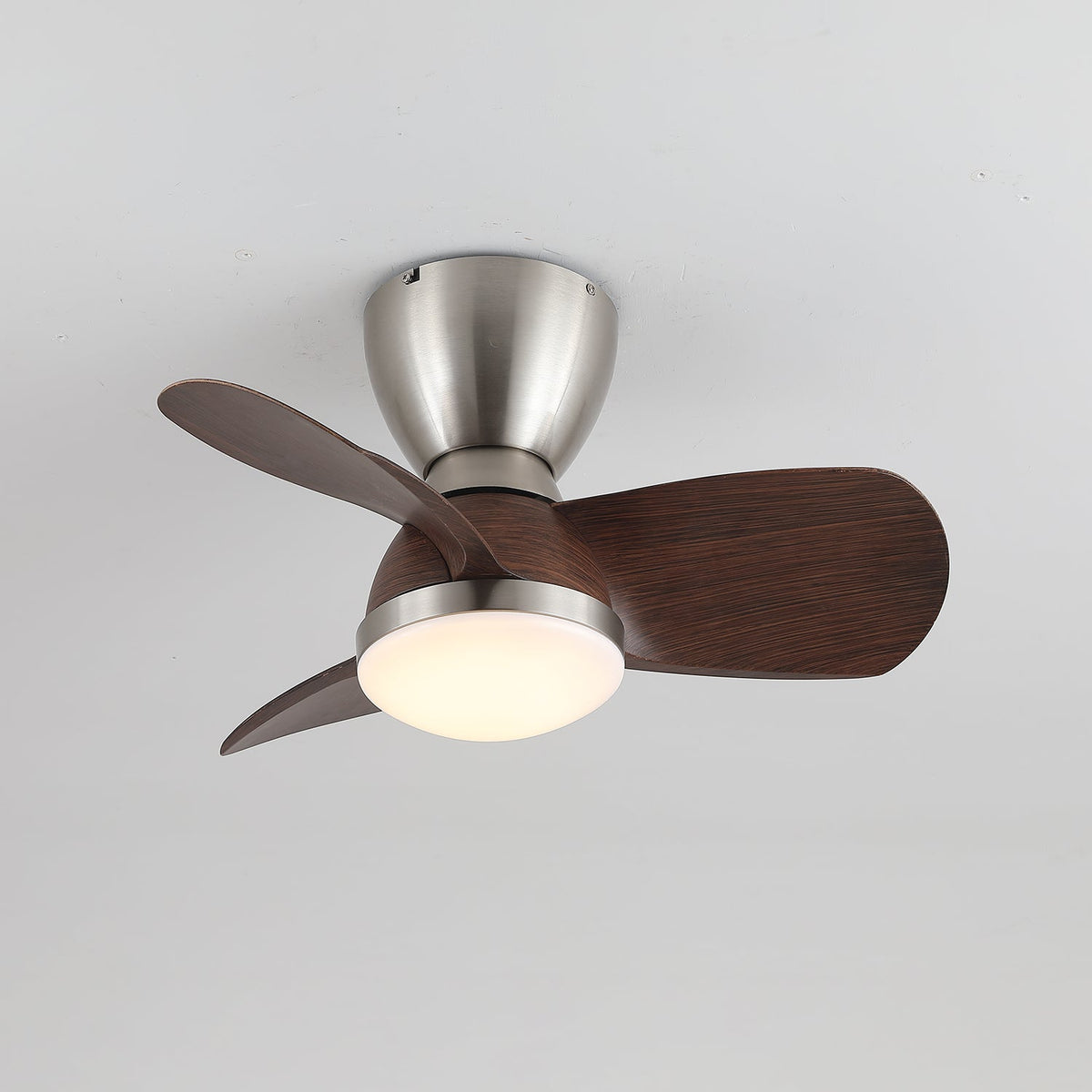Ventilador de Techo Elora con la luz encendida, iluminando una habitación