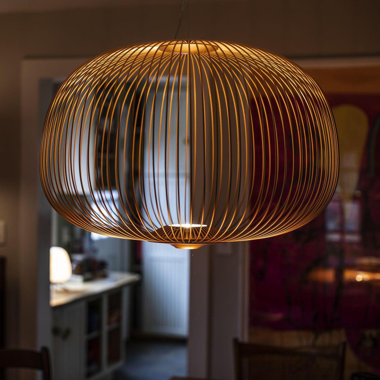 Aero Lightweight Spokes Cage Pendant Light - Letslighting